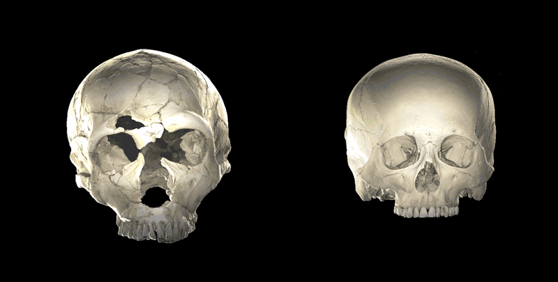 Neandervölgyi gének miatt lehet hosszúkásabb egyes európaiak koponyája