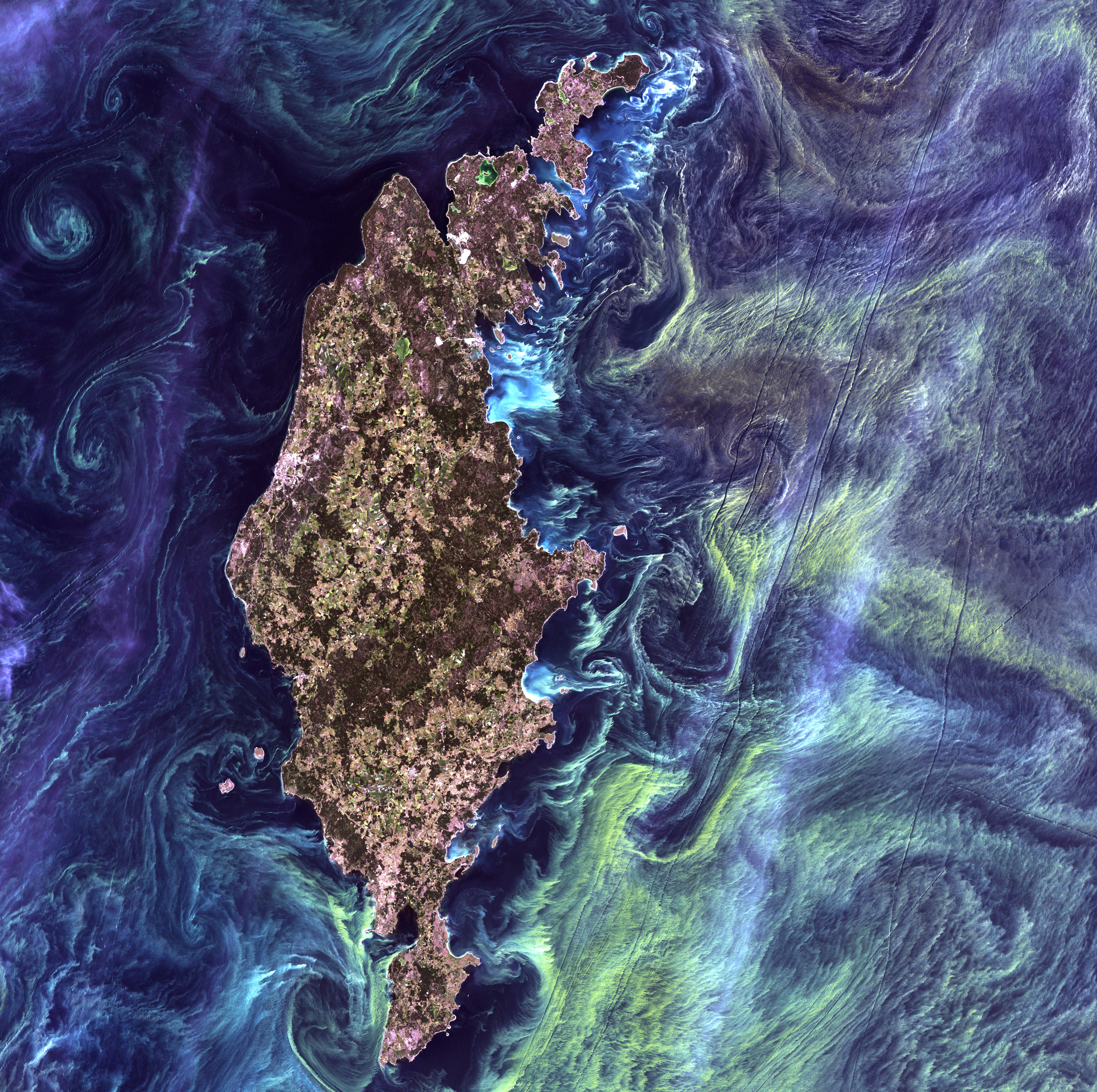 Fitoplankton-réteg a Balti-tengerben a NASA felvételén
