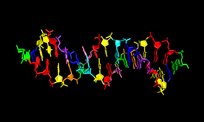 DNS-be illeszthető új nukleotidokat fedeztek fel