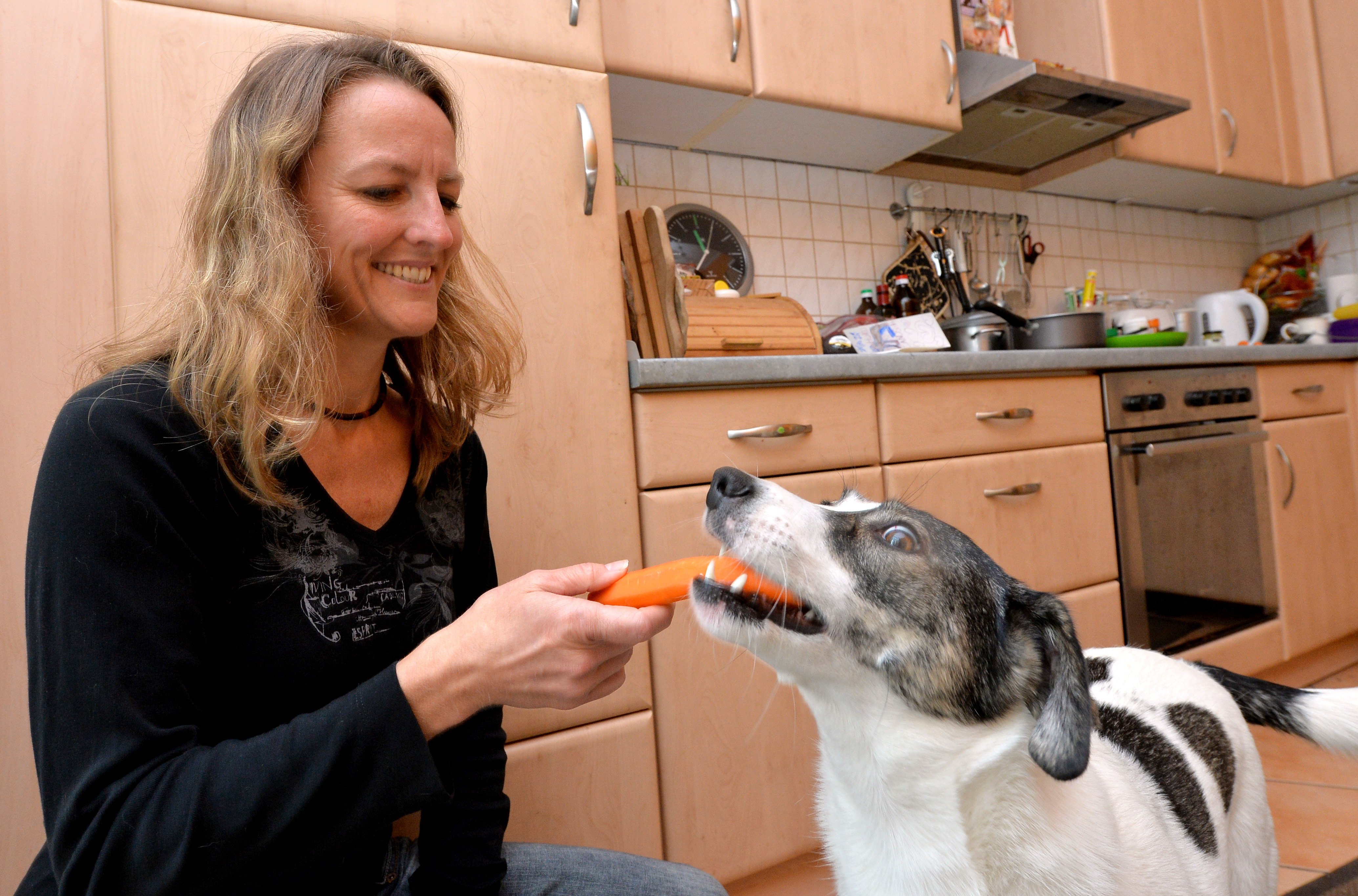 Leila, egy potsdami vegán kutya 2014-ben