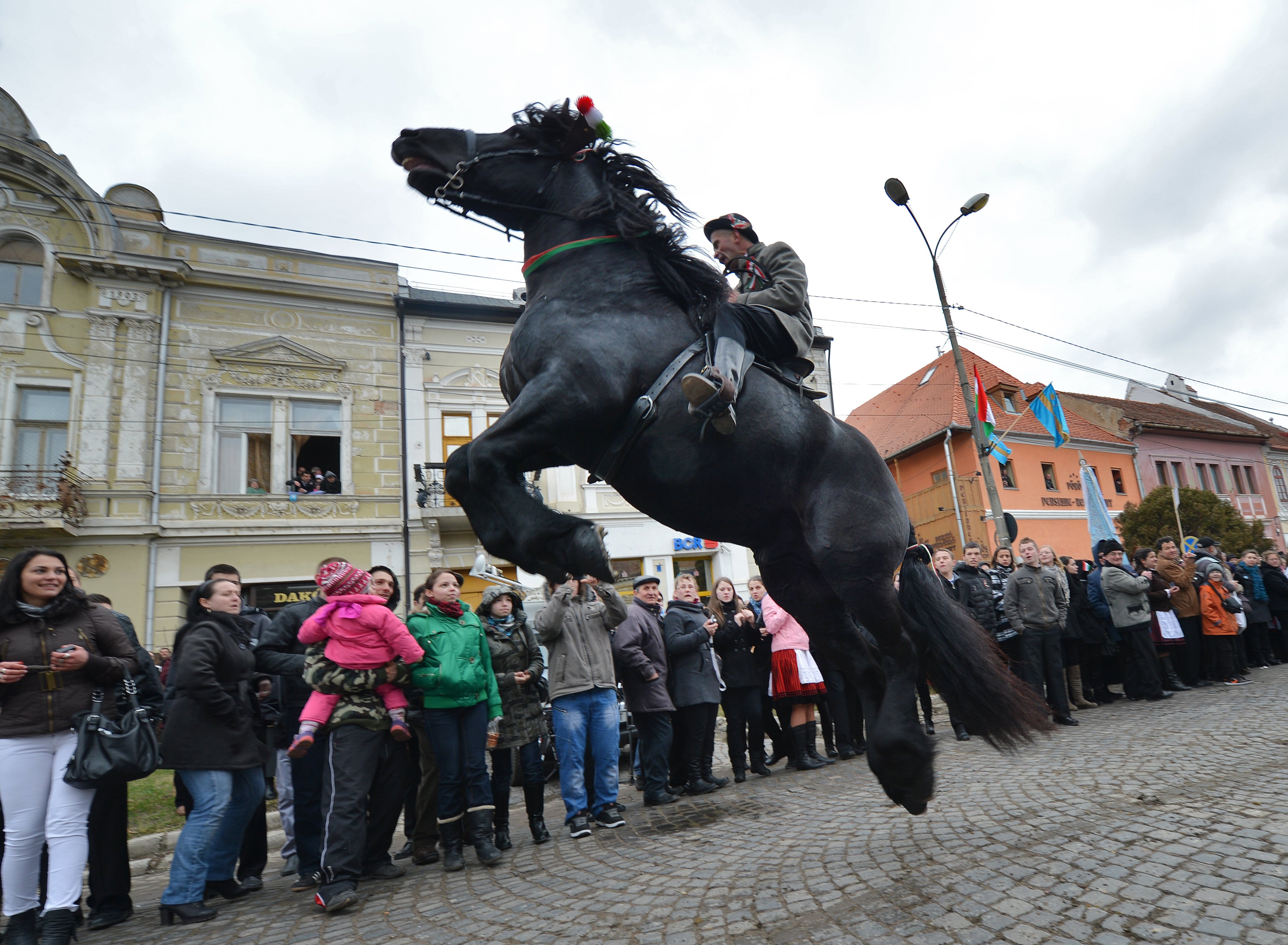 Lesántultak a magyar kormány ajándék lovai kiképzés közben, az osztrákok visszaküldenék őket