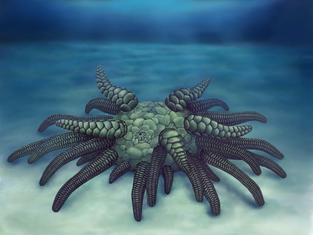 Cthulhuról kapta a nevét a 430 millió éves tengeri törpeszörny