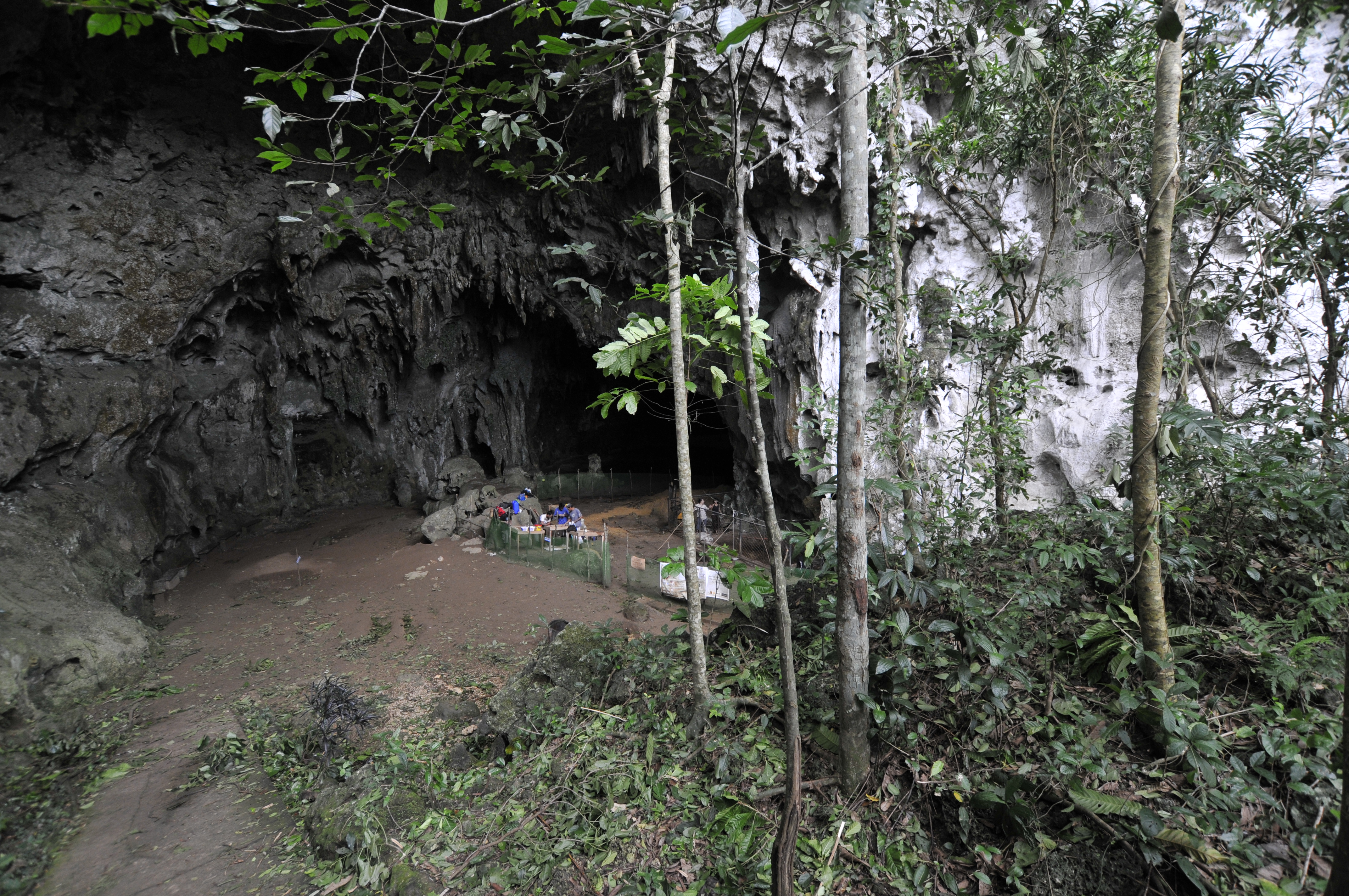 Egy eddig ismeretlen emberfaj nyomaira bukkantak egy Fülöp-szigeteki barlangban