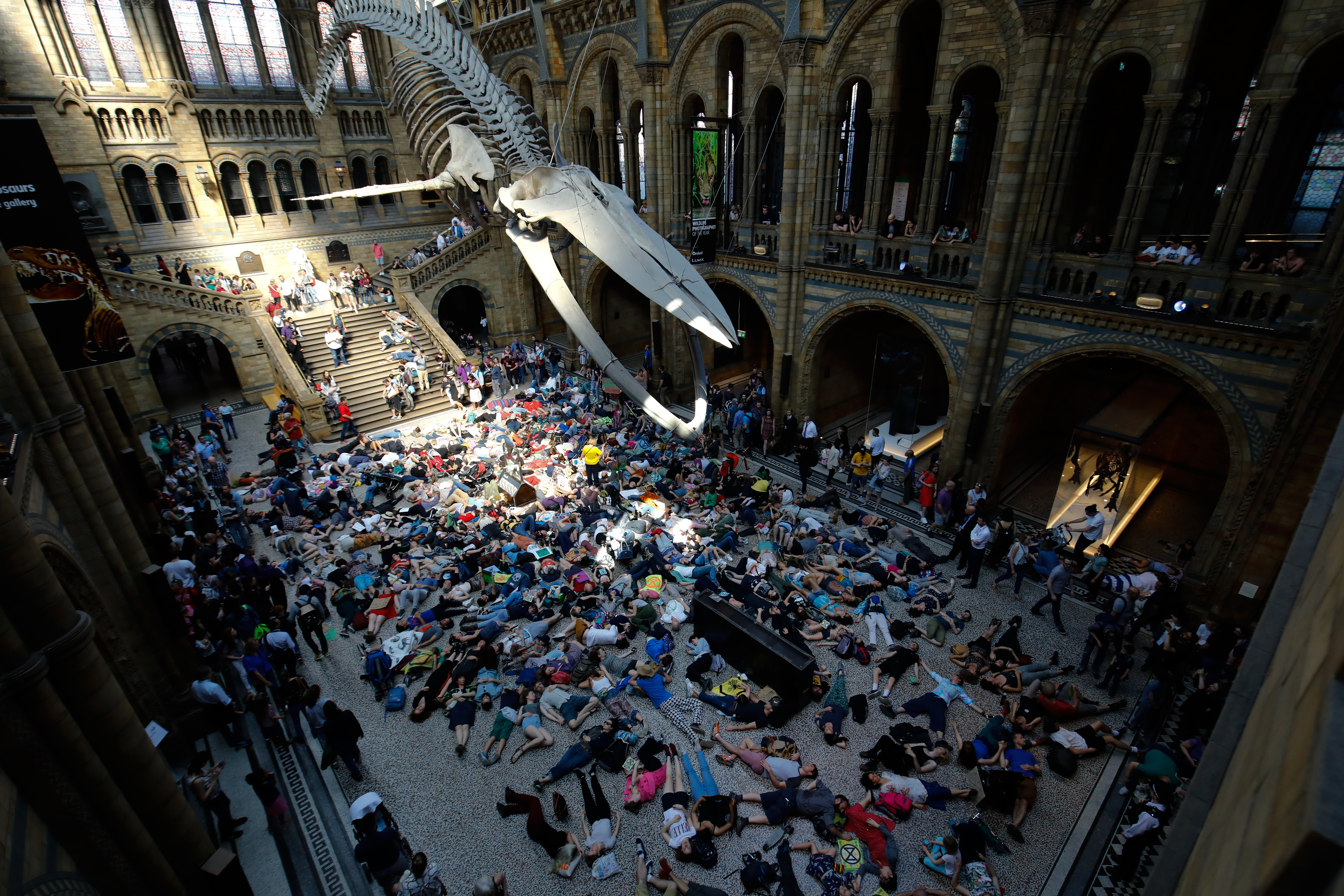'Tömeges kihalás', mint tüntetés a brit Természettudományi Múzeumban, Londonban