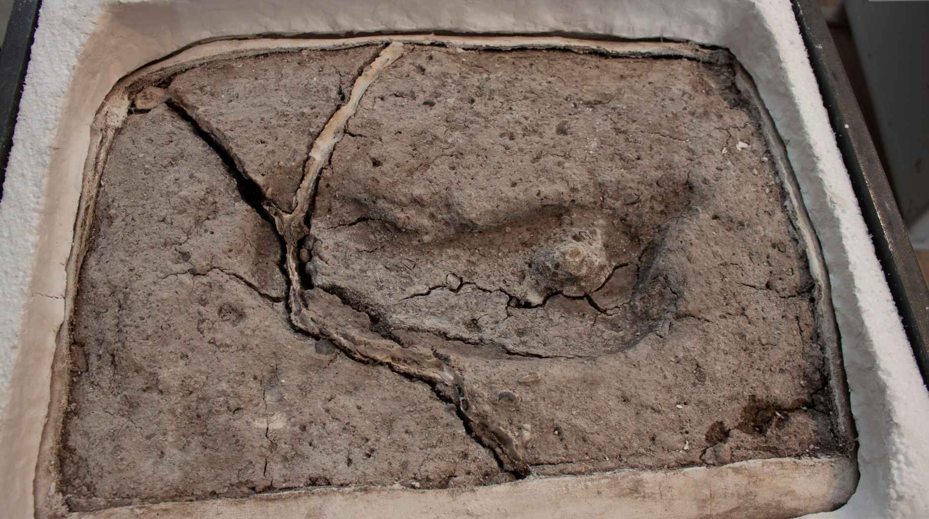 Soha ilyen régi emberi nyomot nem találtak még Észak- és Dél-Amerikában