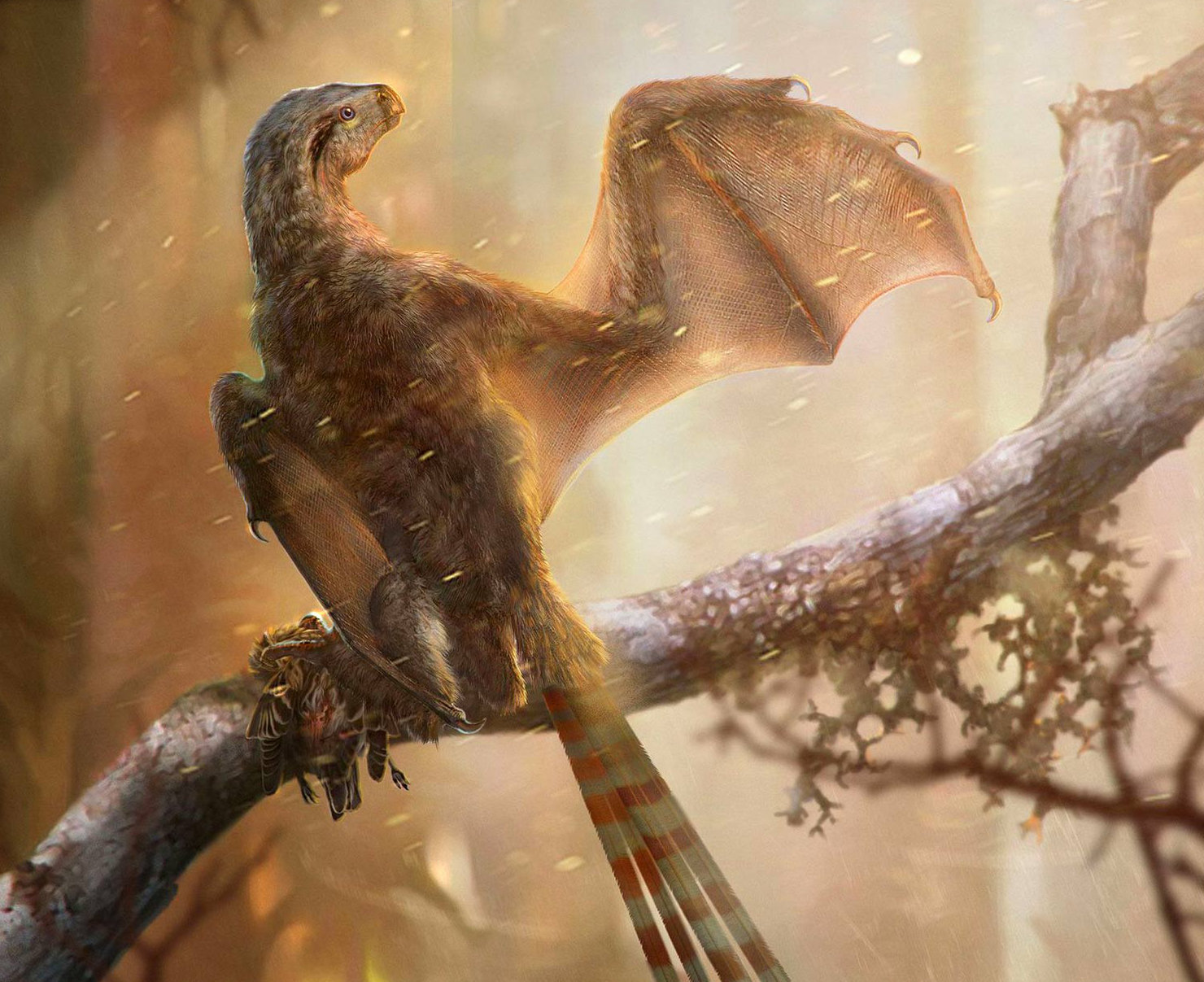 Az Ambopteryx longibrachium fantáziarajzos rekonstrukciója.