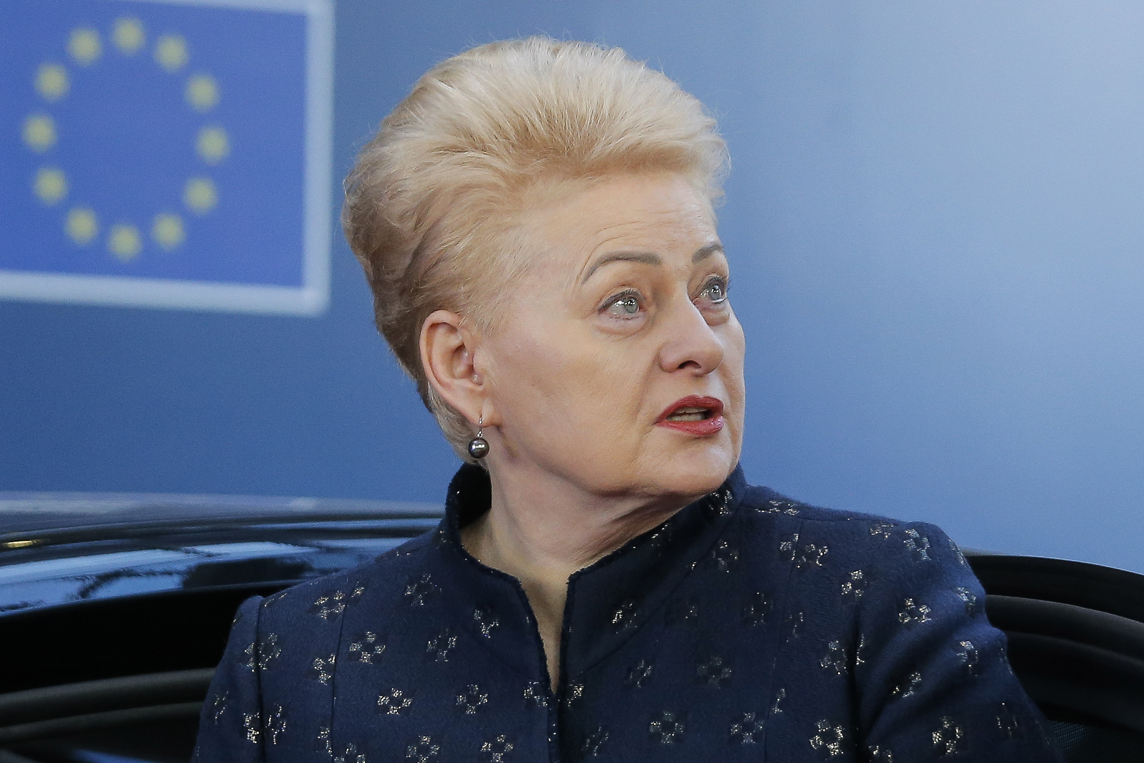 Új elnököt választanak Litvániában