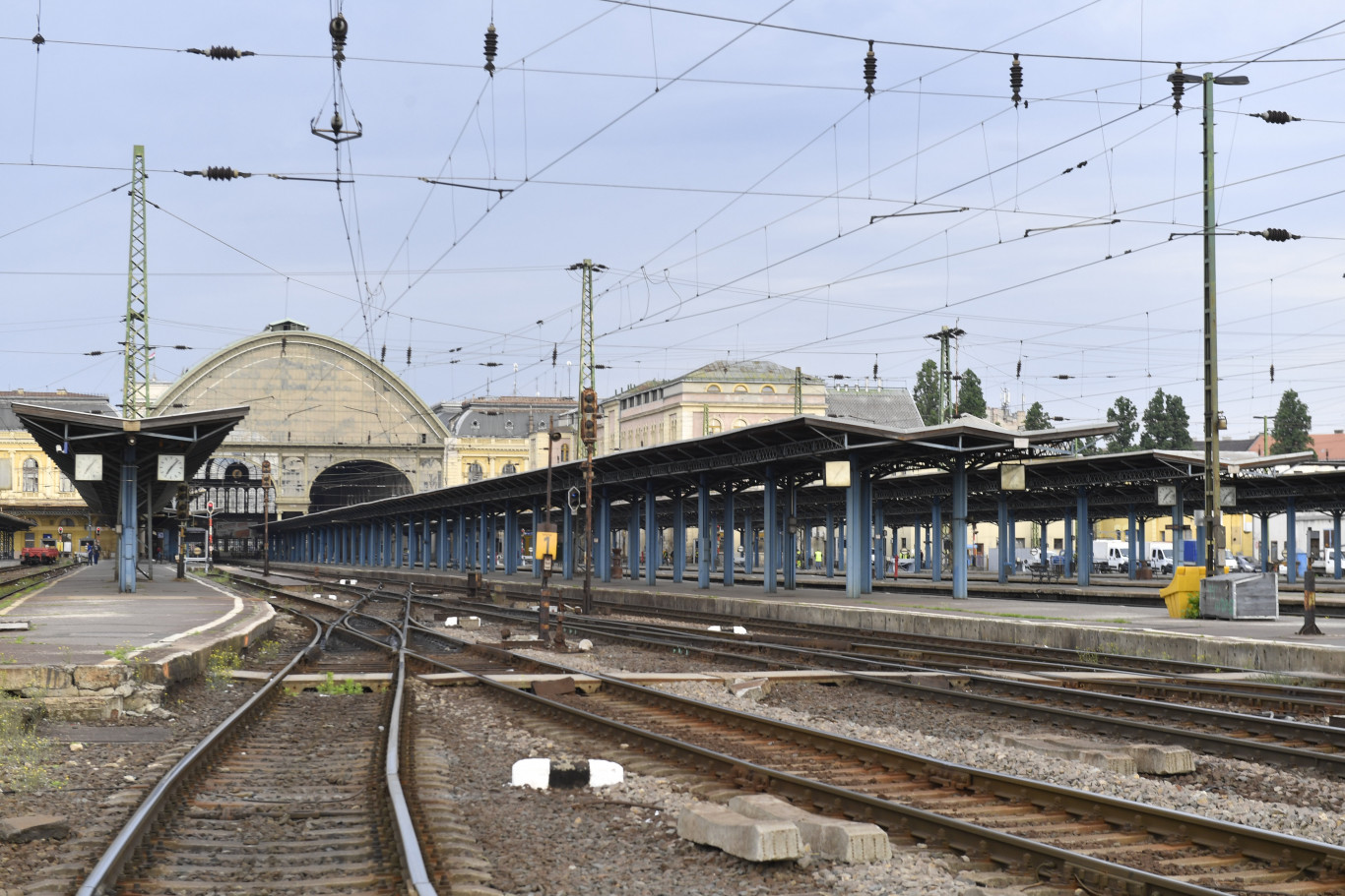 A Pécsről Budapestre tartó vonaton megalázó stílusban követelte a kalauz, hogy tegyenek szájkosarat egy vakvezető kutyára