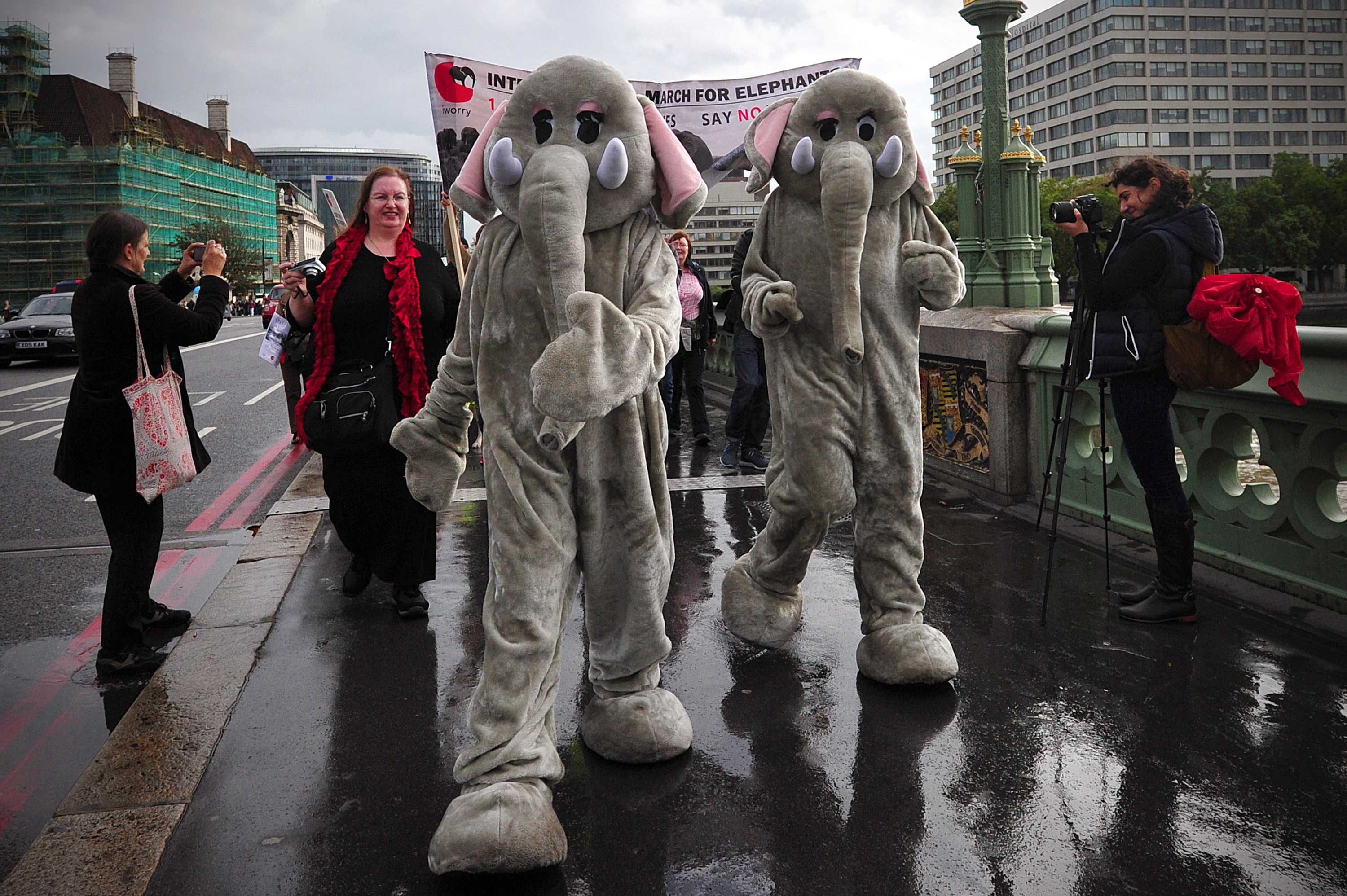 Londoni tüntetés még 2013-ból a globális elefántcsont-kereskedelem ellen