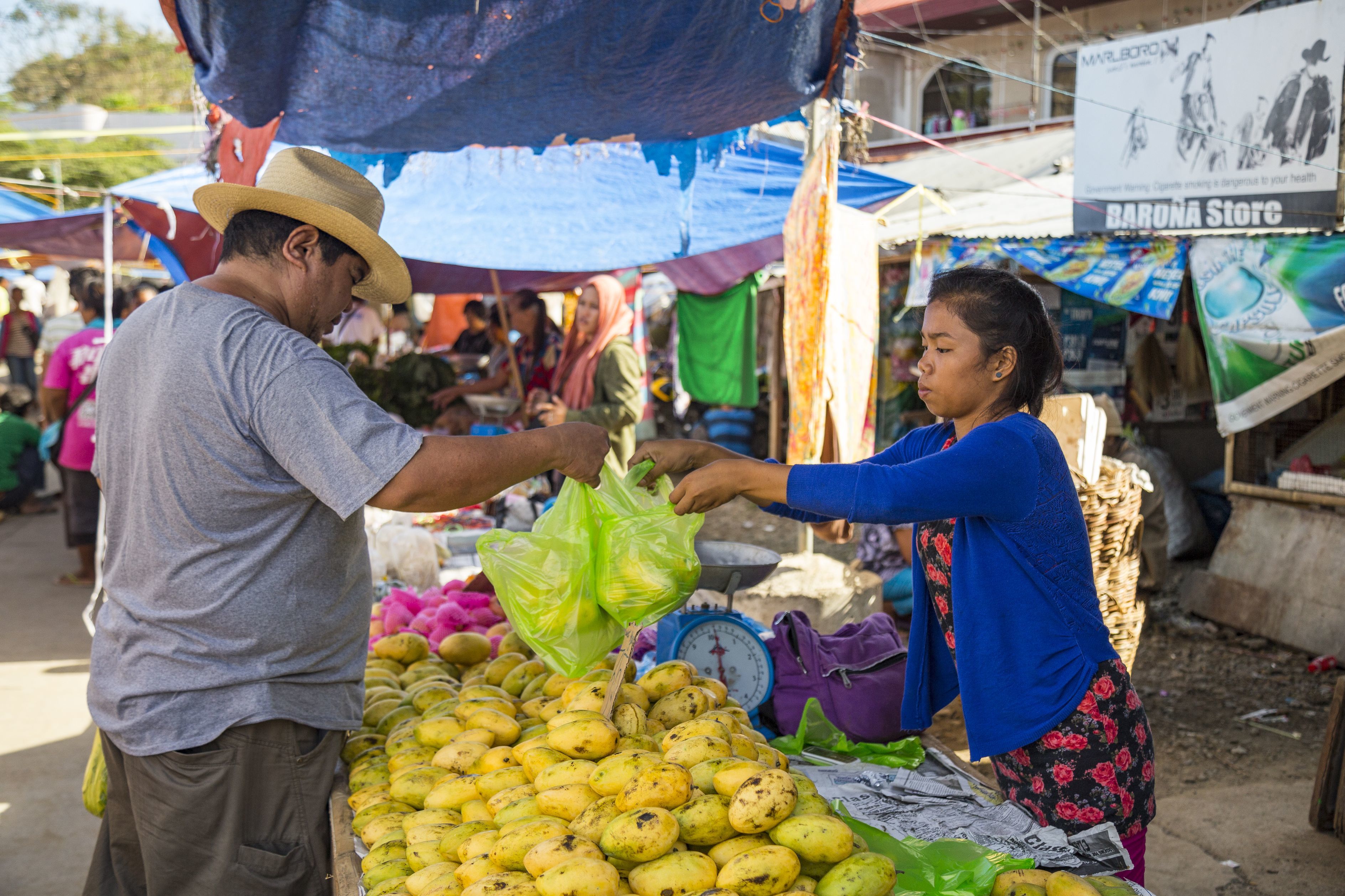 Elszabadult a mangó a Fülöp-szigeteken, kétmillió kilogrammal több termett az eladhatónál