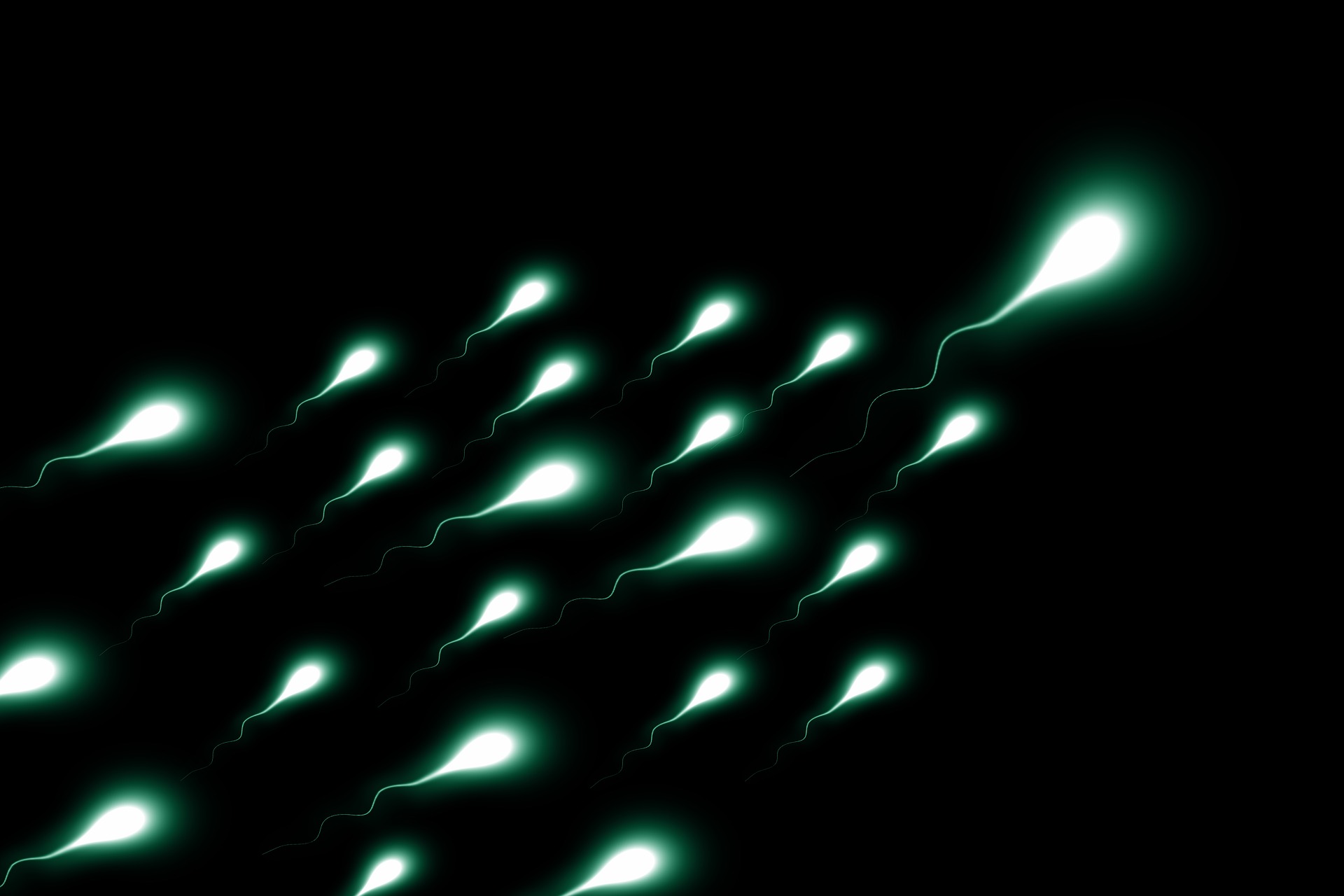 A túl sok mobilozás árthat a spermának