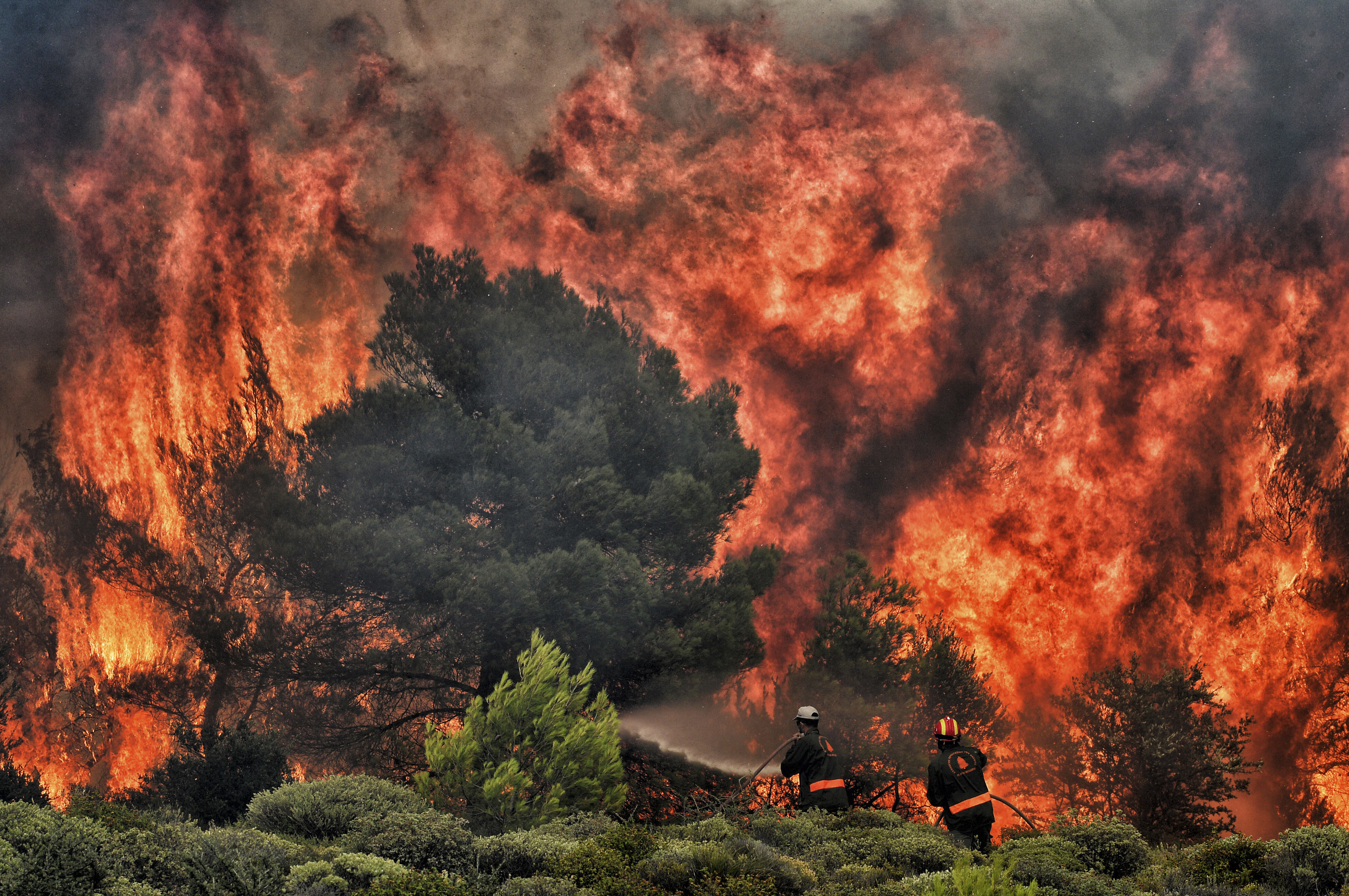 A tűzzel birkózó tűzoltók az Athén melletti Kineta falu határában 2018 júliusában