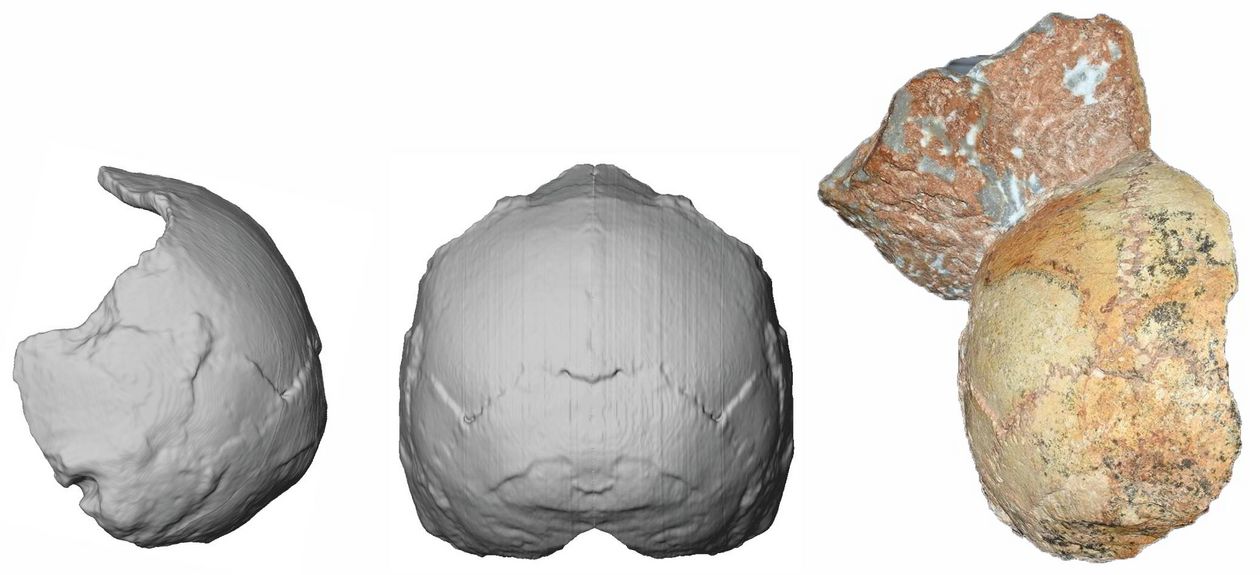 Szenzációs felfedezés egy koponya alapján: 160 ezer évvel korábban érkezhetett a modern ember Európába, mint eddig hittük