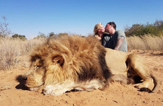 Kilőtt oroszlán teteme felett csókolózott a kanadai házaspár, tombolnak az állatvédők