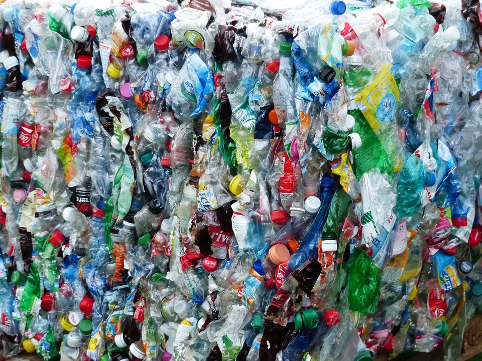 Idén is kihalásszák a Tiszába dobott műanyagot, de a Greenpeace nem vesz benne részt