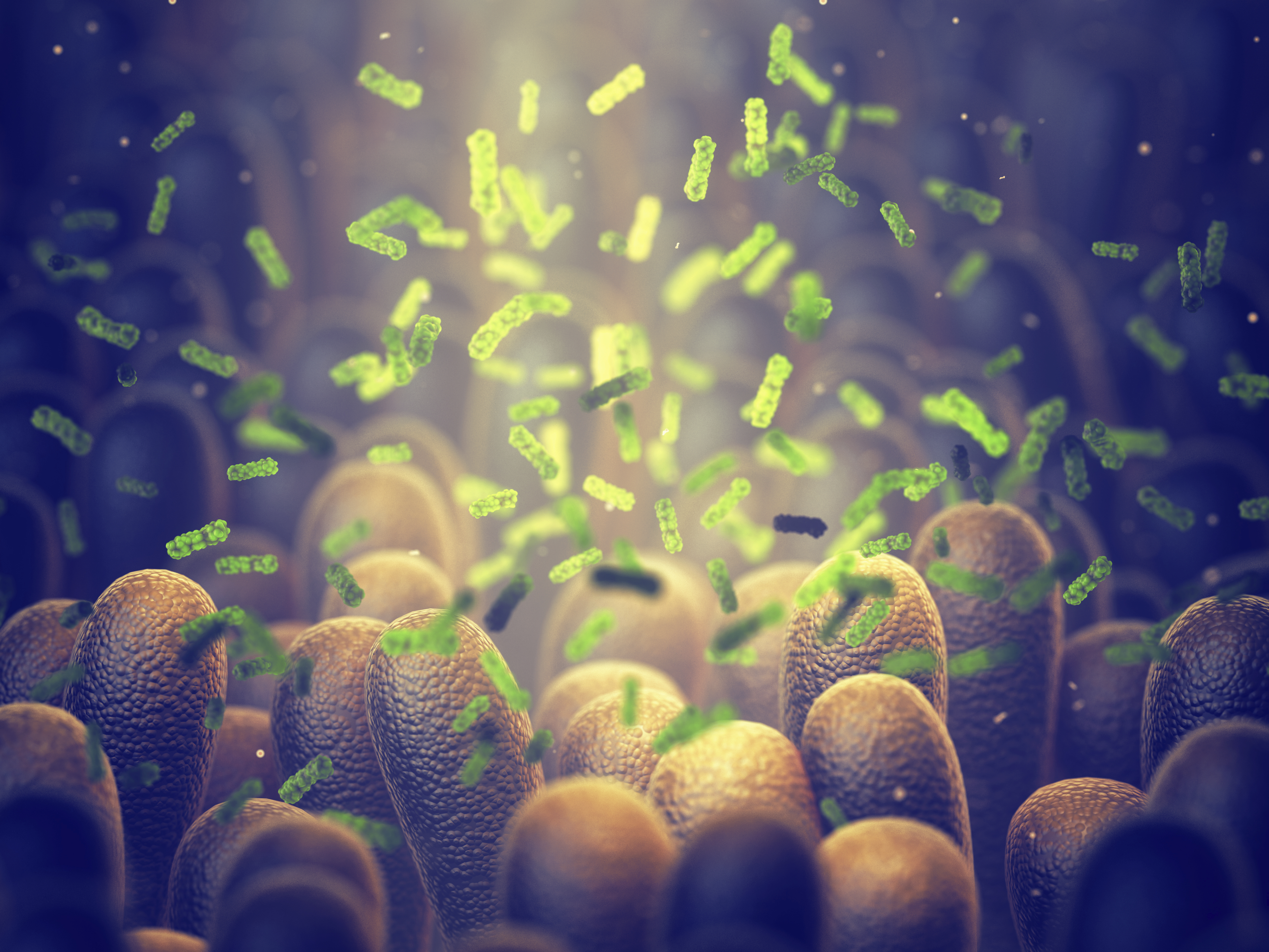 A szervezetünkben élő baktériumok jelentős hatással lehetnek a COVID-19 súlyosságára