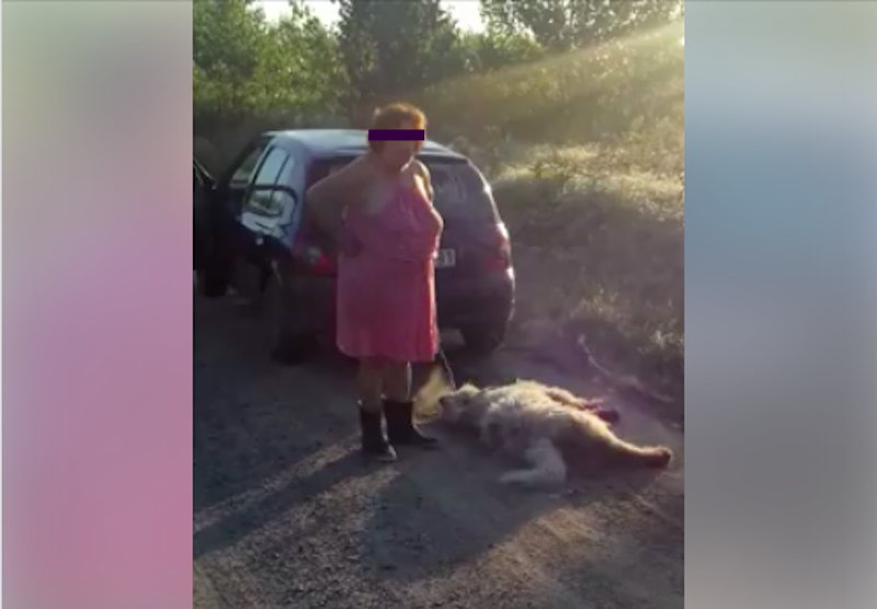„Egyáltalán nem sajnálom” - mondta a kutyáját a kocsija mögött büntetésből kötélen húzó nő a haldokló állat fölött állva