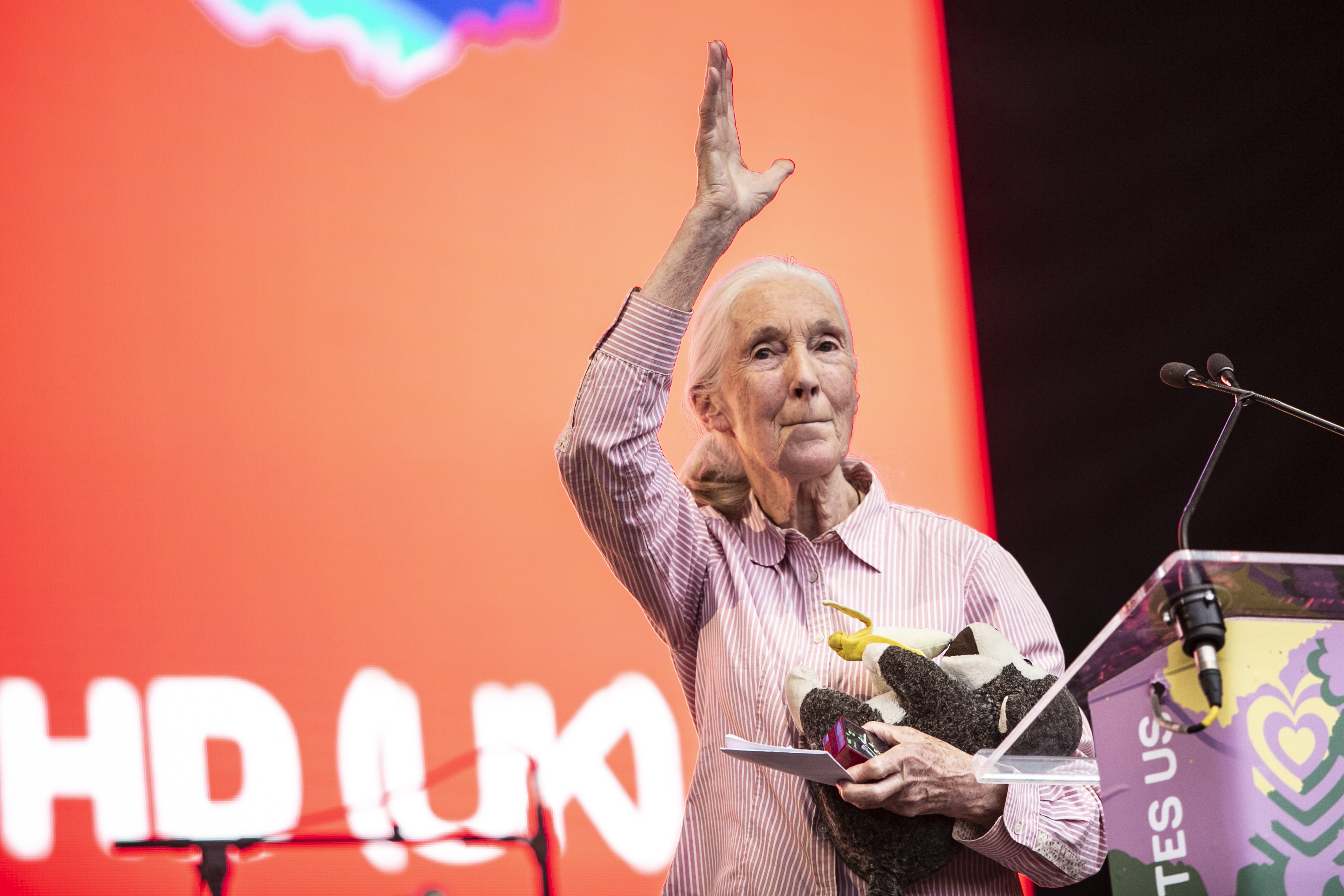 Jane Goodall a Szigeten: A fiatalok a reményeim, akik megértik a problémákat, és erősek, hogy megváltoztassák a világot