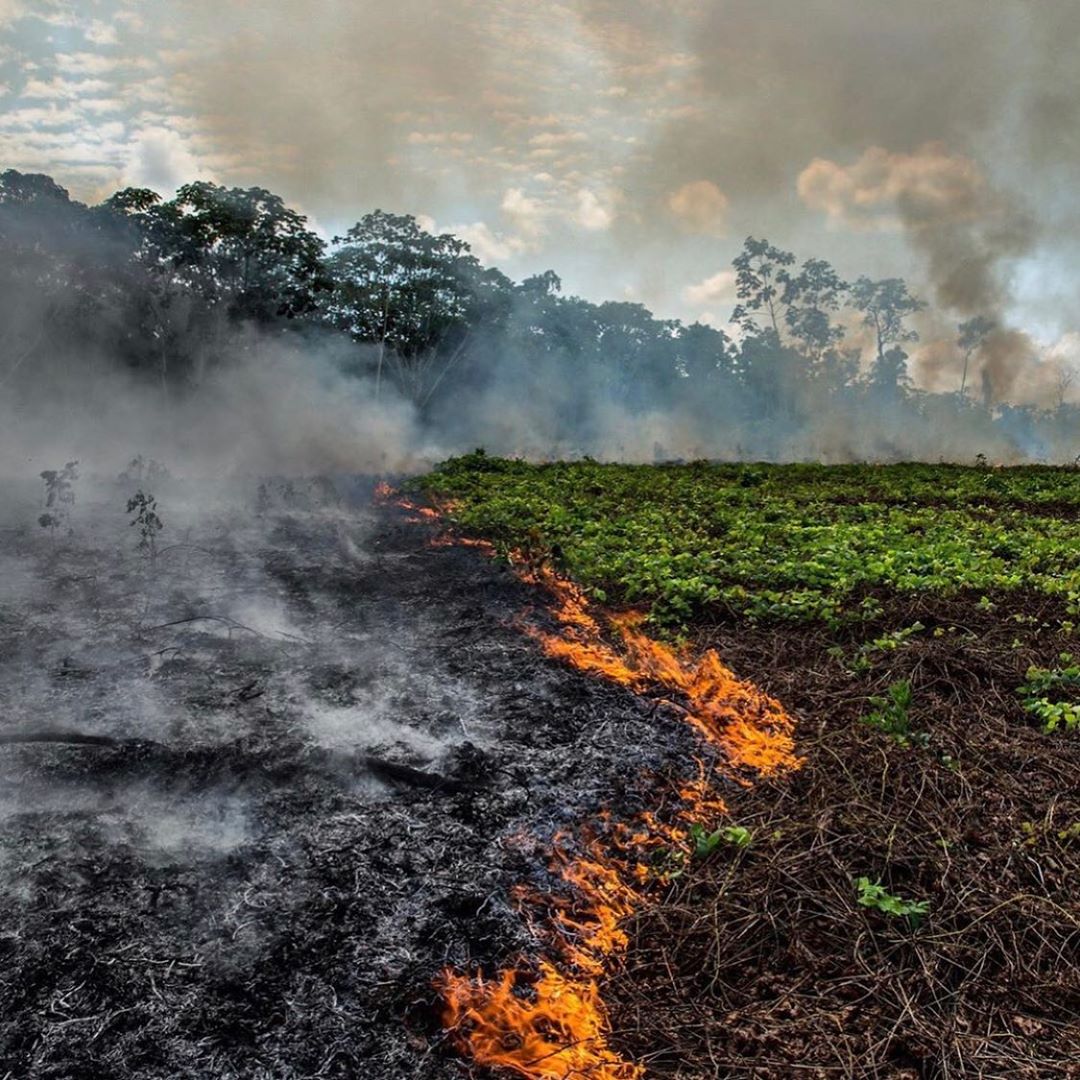 Több száz új tüzet észleltek az Amazonas-medencében