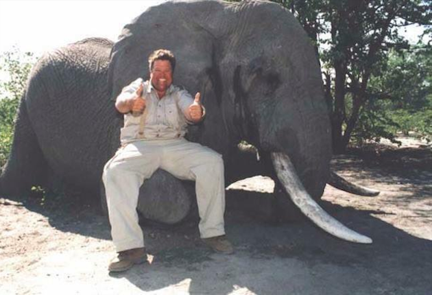 Akkora a felháborodás a lelőtt elefánttal pózoló fickó fotója miatt, mintha nem pár havonta járná körbe az internetet
