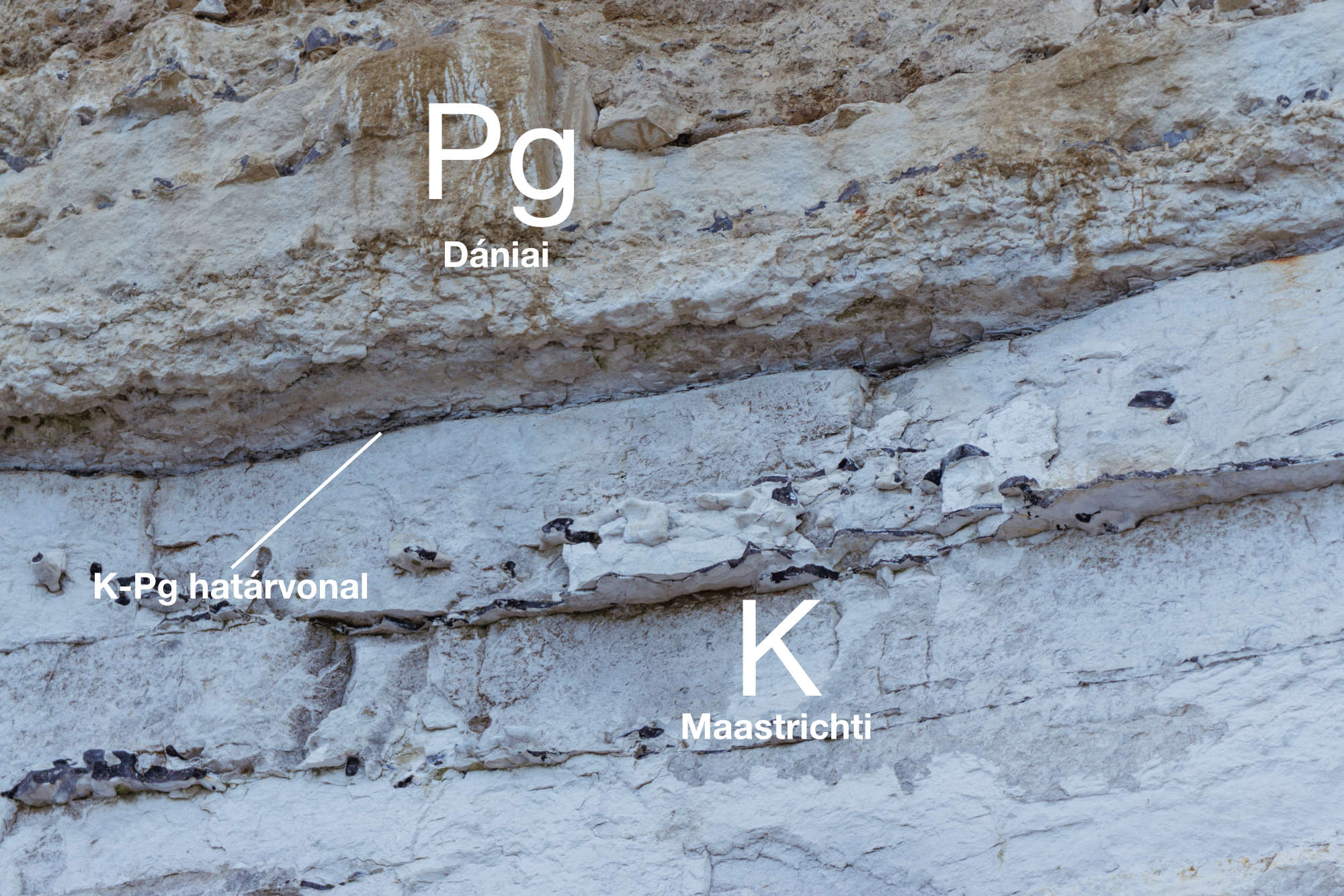 A K-Pg határvonal a Kréta és Paleogén korú kőzetek között. Ez a "Fiskeler"-nek, vagy a benne talált halmaradványokról "halas agyagnak" nevezett réteg a normálisnál 160-szor nagyobb irídium koncentrációt tartalmaz.