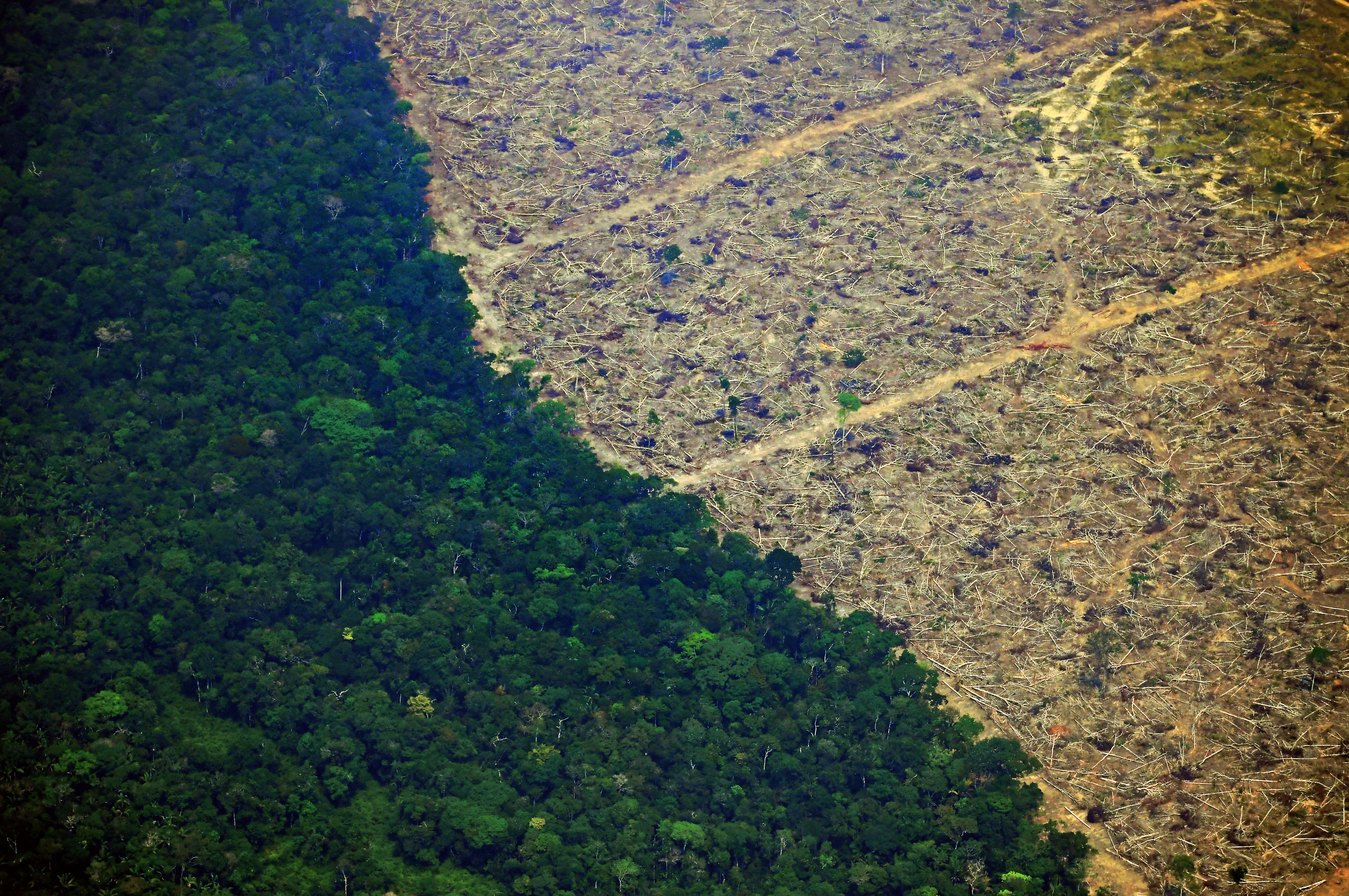 Csak augusztusban két budapestnyi esőerdőt pusztítottak el Brazíliában