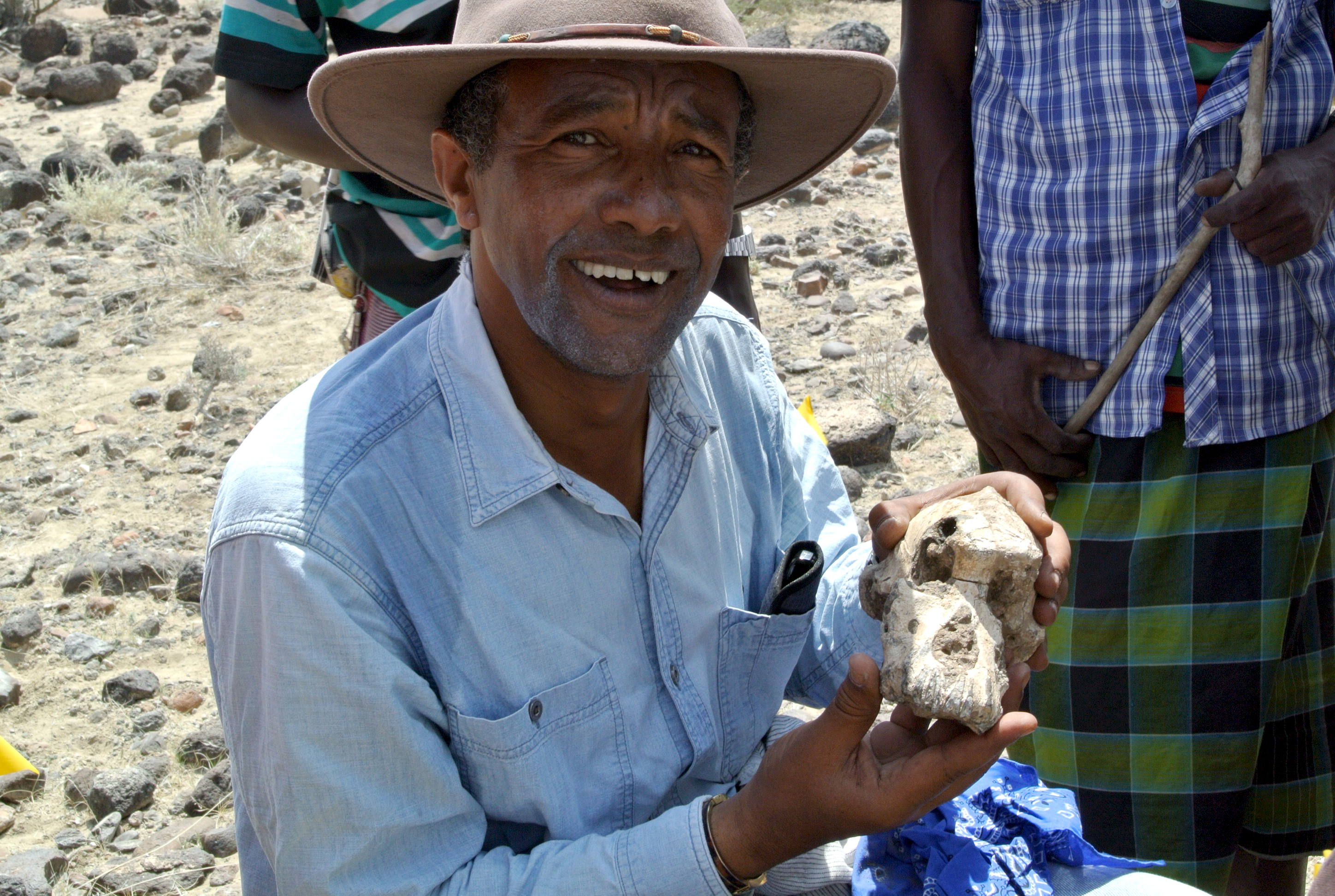 Egy Etiópiában talált majomkoponya újraírhatja az emberiség eredettörténetét