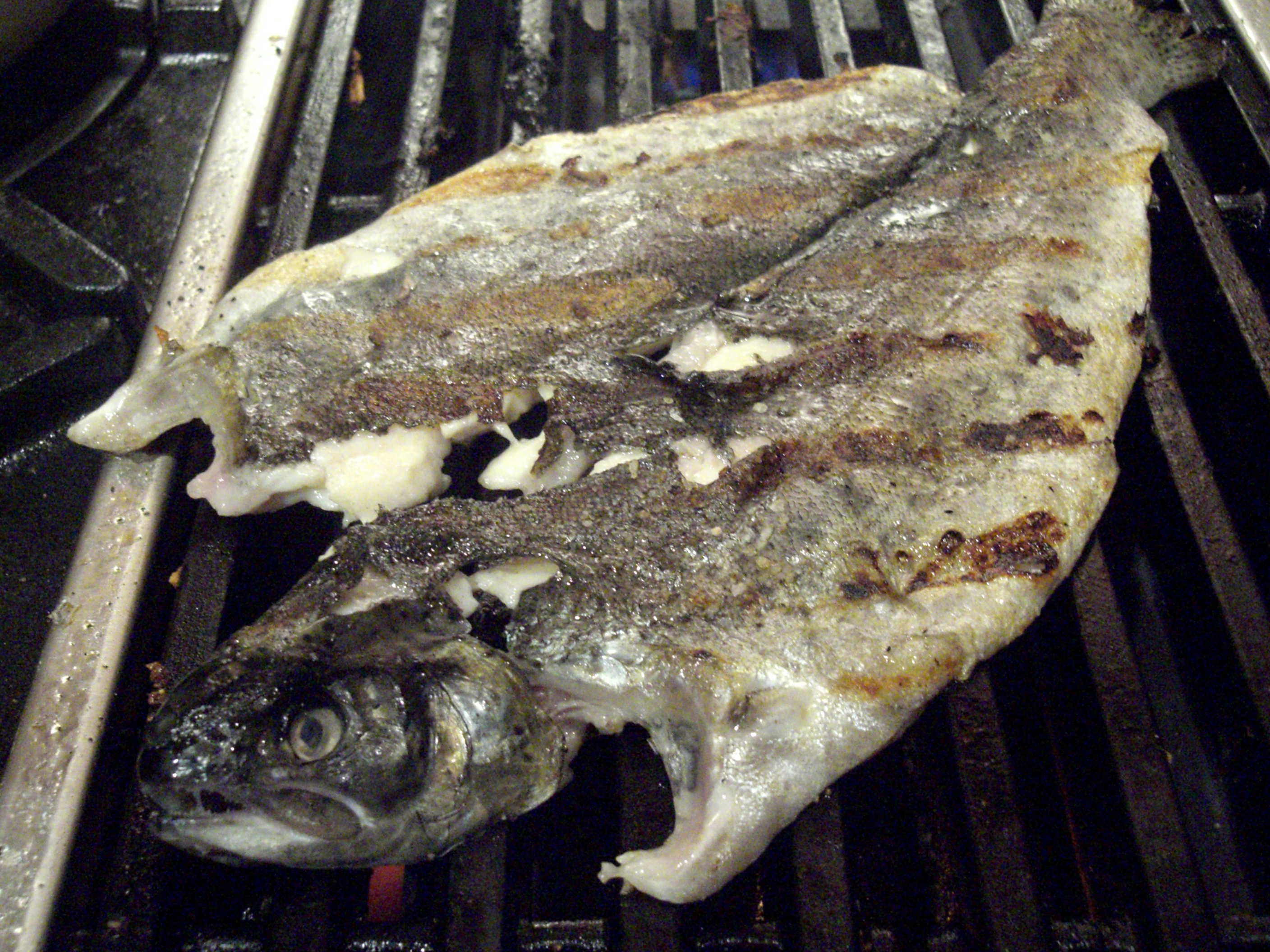 A terjengő halszag miatt jelentette fel egy ausztrál vegán a grillező szomszédjait