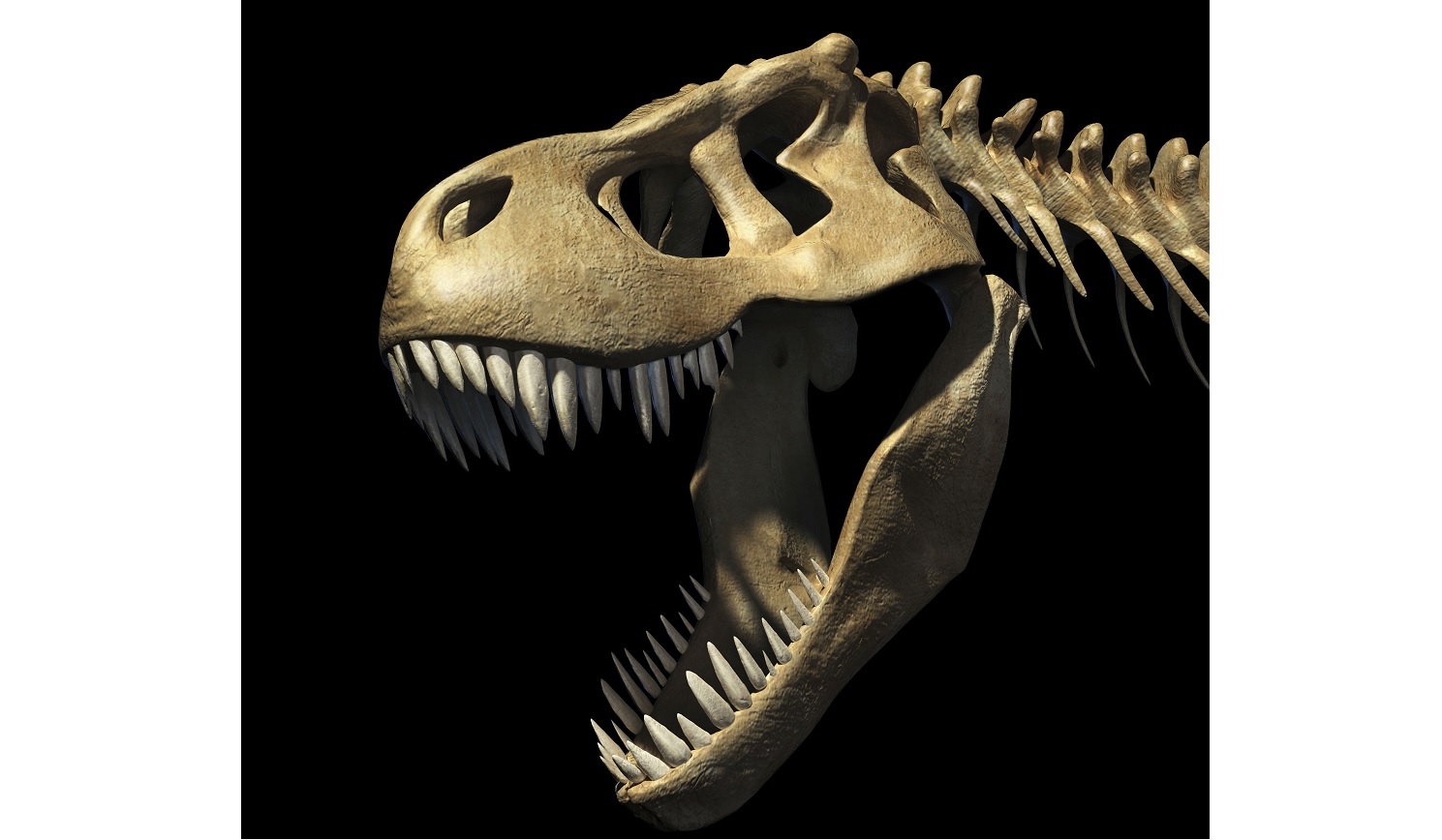 Biolégkondival hűtötte az agyát a Tyrannosaurus rex