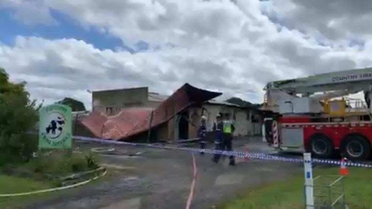 Hatalmas spermarobbanást okozott a tűz az ausztrál inszeminálóközpontban