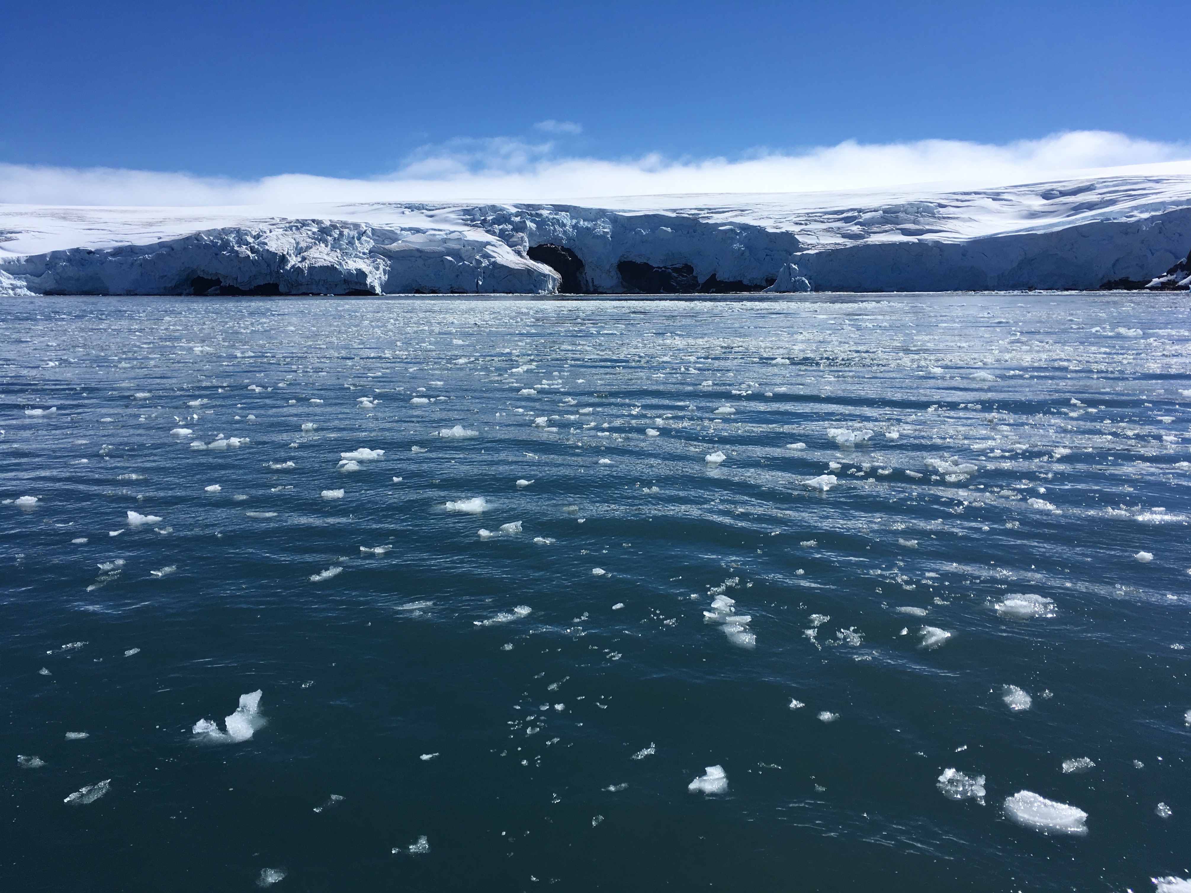 Jégdarabok úszkálnak egy olvadozó antarktiszi gleccser előtt