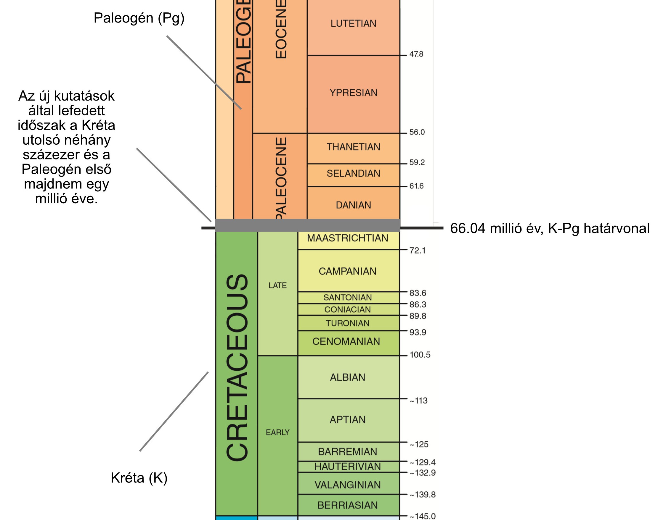 Az új tanulmányok a Kréta utolsó néhány százezer és a Paleogén első egy millió évéről nyújtanak információkat.