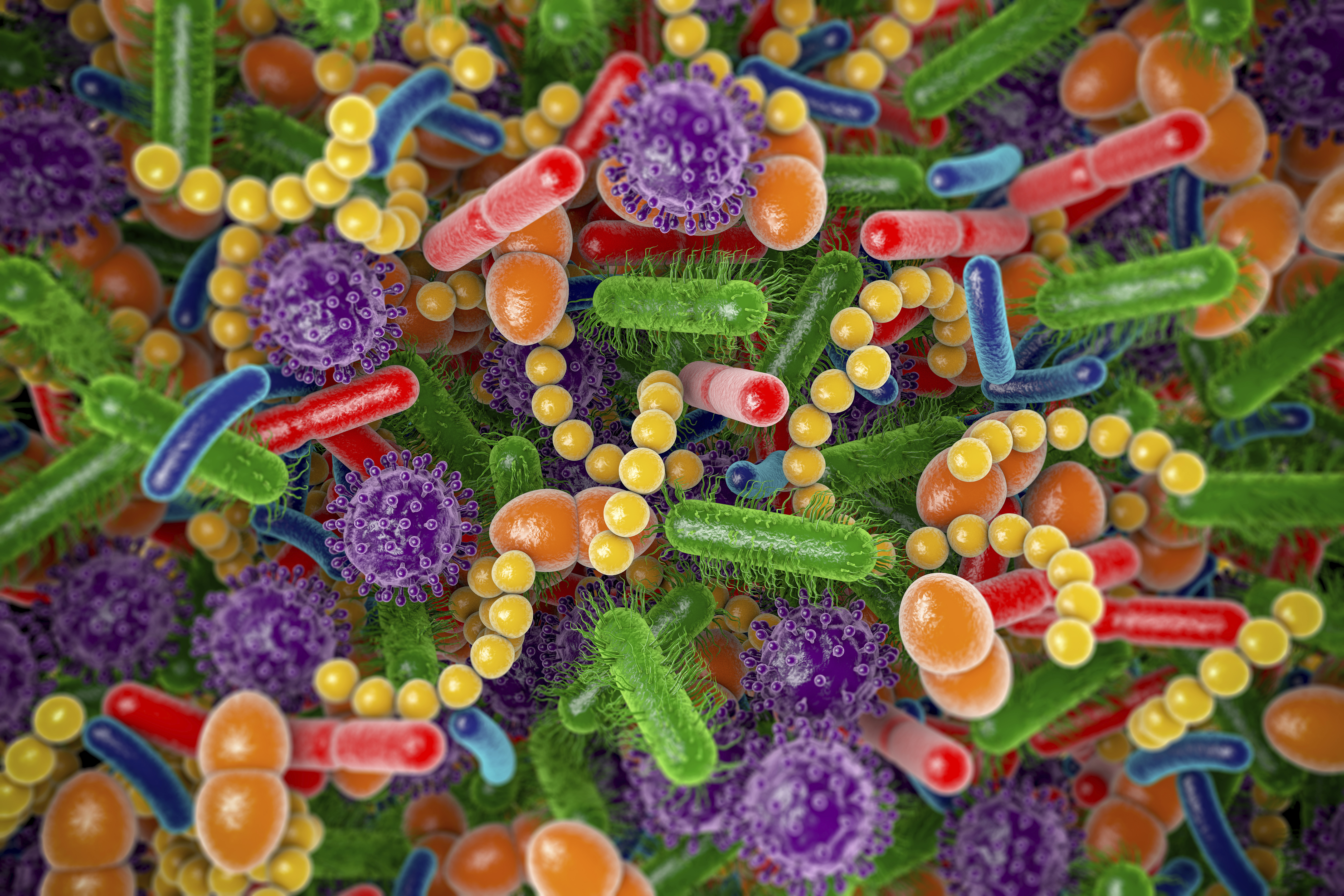 A mikrobiom felturbózása segíthet a koronavírus elleni harcban