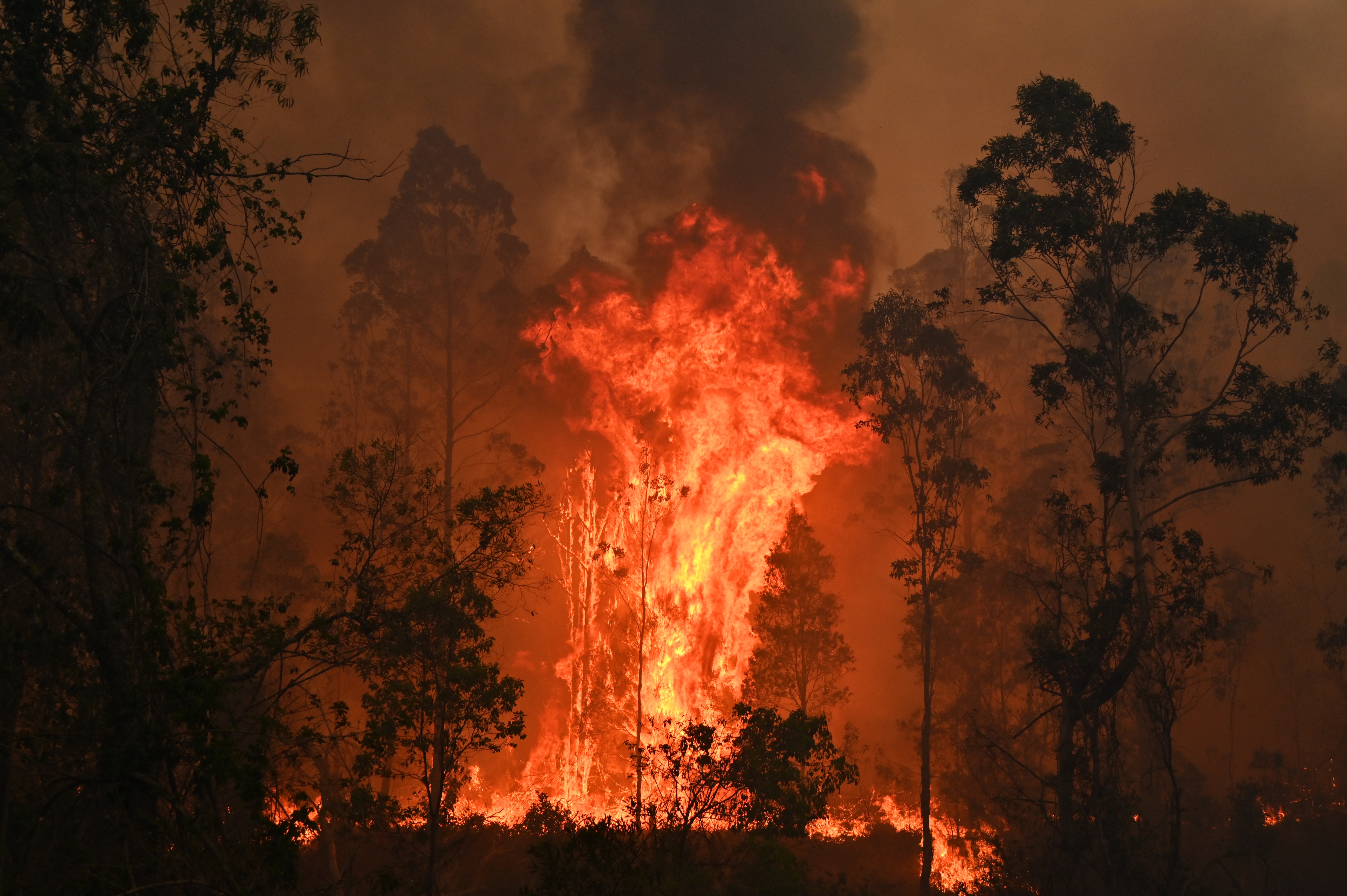 Szükségállapot Ausztráliában, a valaha volt legnagyobb tűzvész jöhet