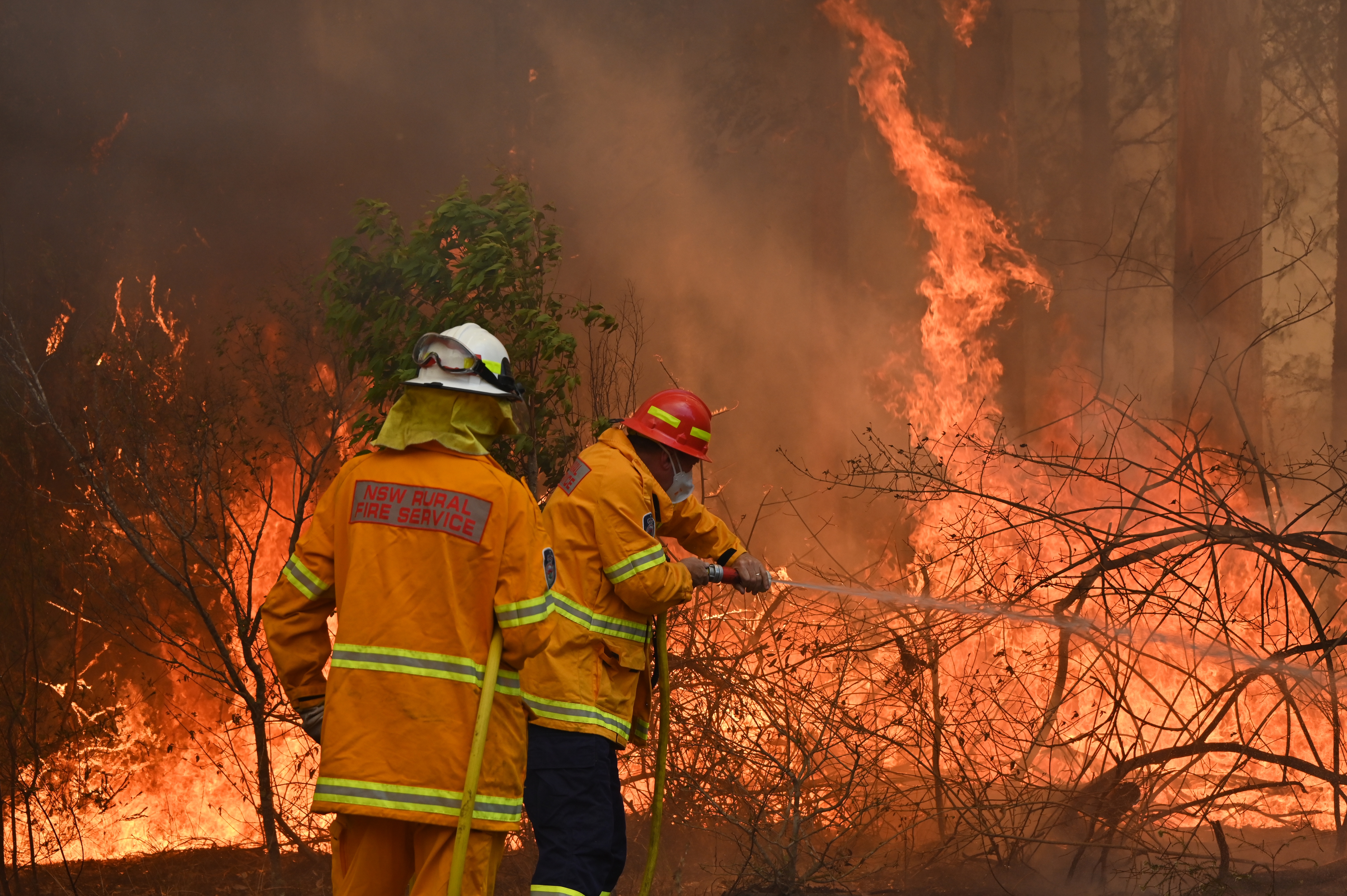 Az ausztrál hatóságok a katasztrofális tüzek miatt arra kérik az embereket, ha lehet, inkább ne utazzanak
