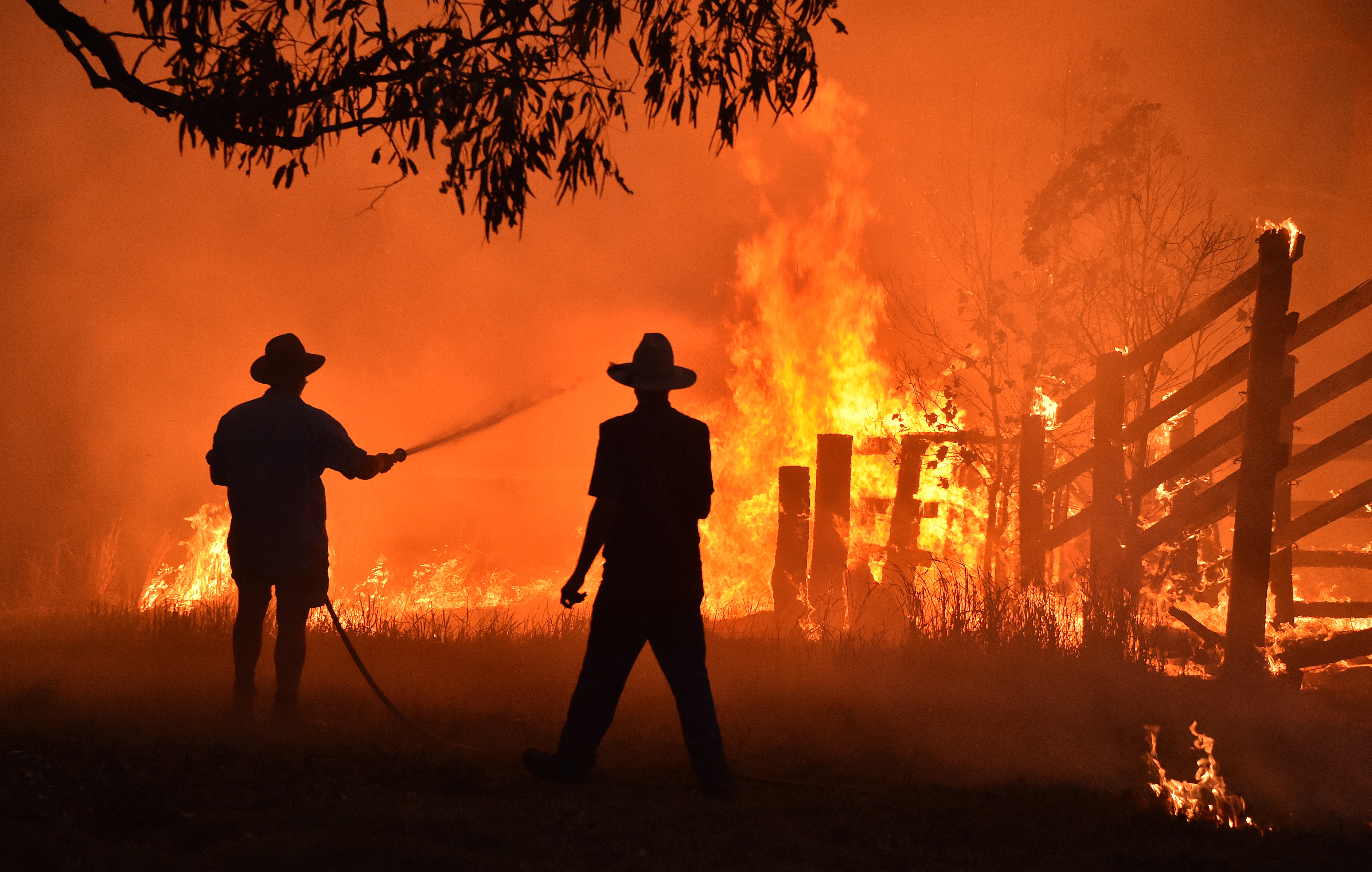 Tovább tombol az ausztráliai erdőtűz, egy tűzoltó meghalt a lángok között