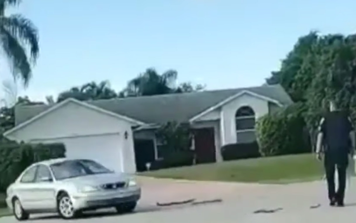 Egy floridai kutya egy órán át körözött egyedül egy autóban