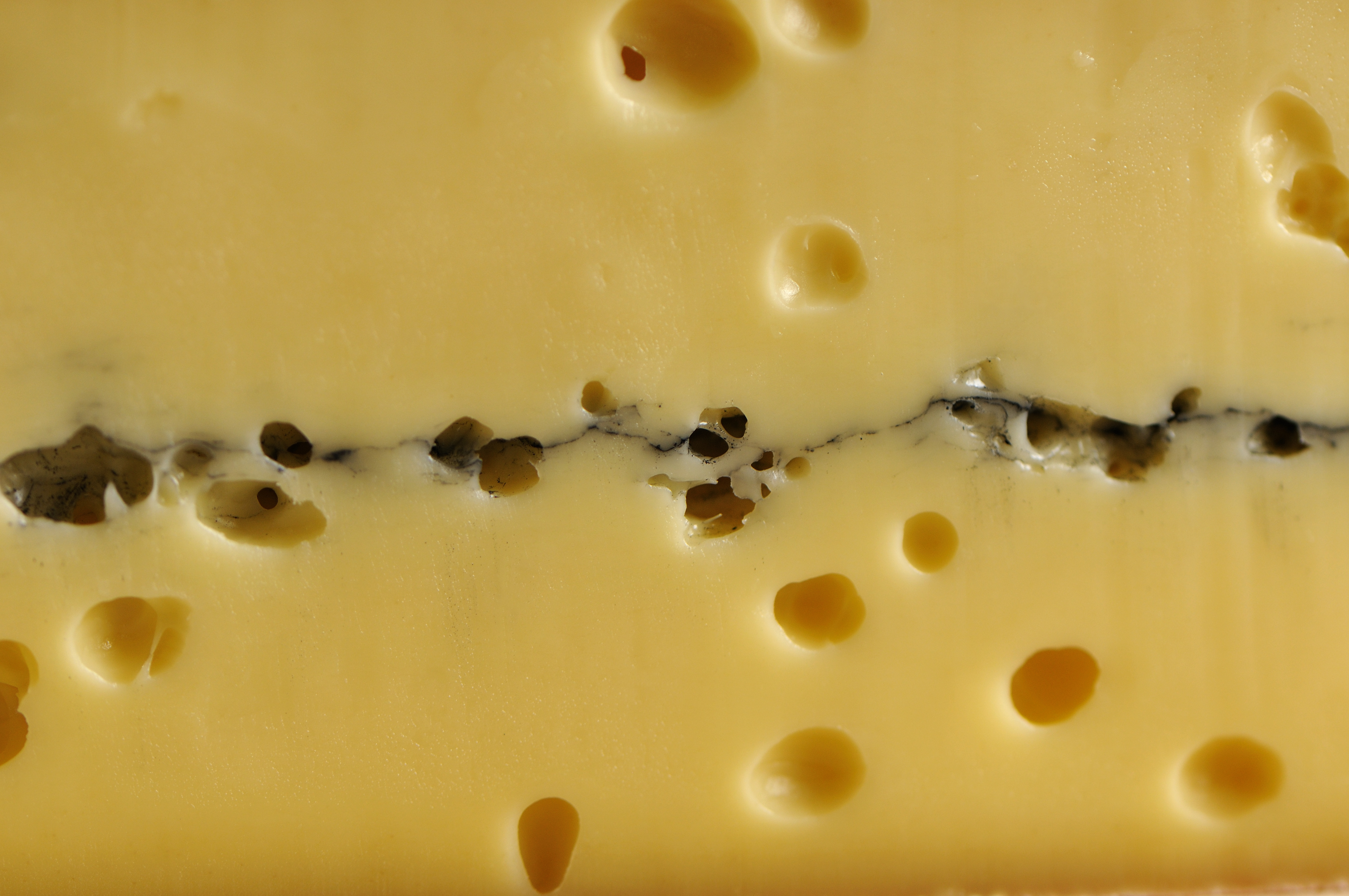 Egy vödör tej és egy muslica ókori találkozásának köszönhetjük a sajtkészítést
