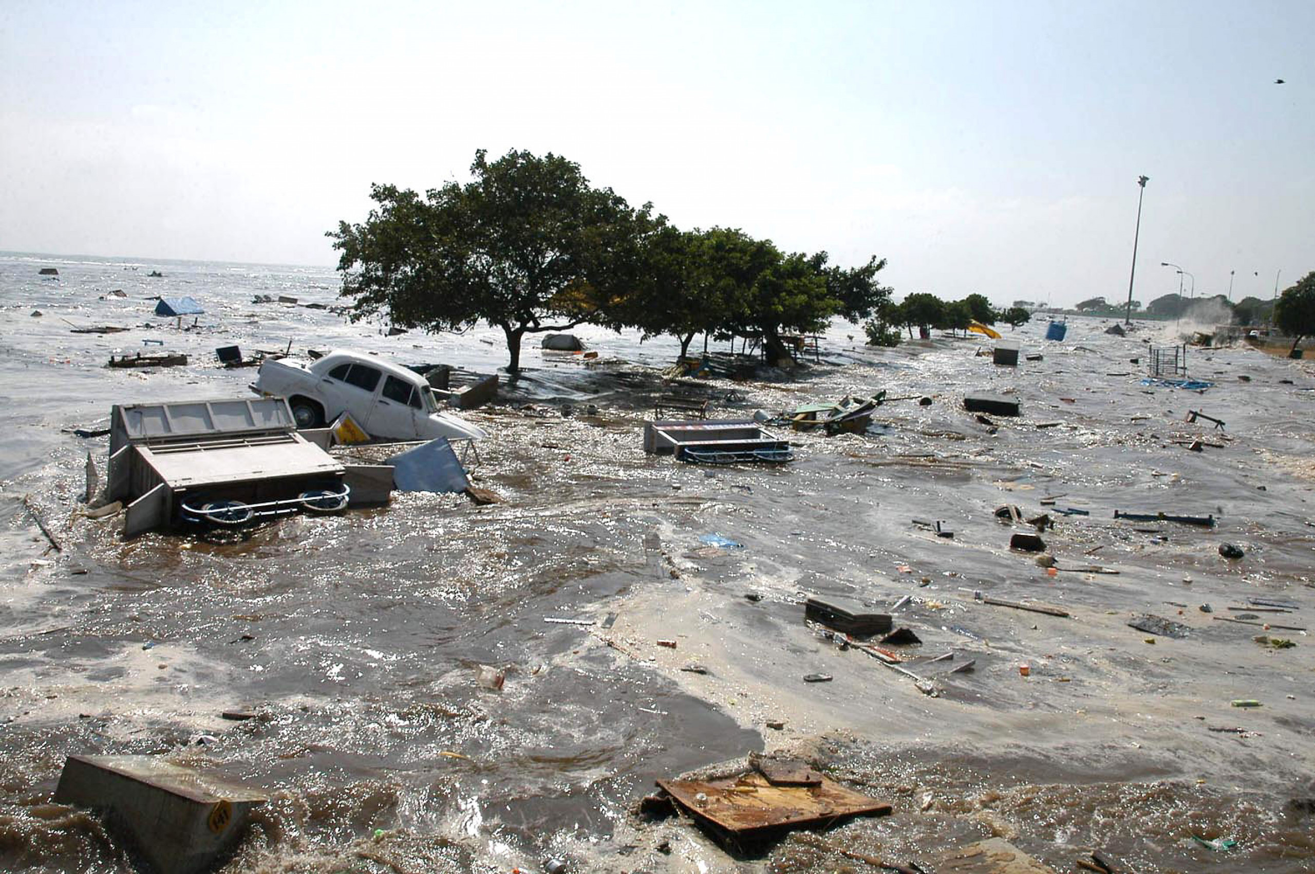 Землетрясение на острове. ЦУНАМИ 2004 года в индийском океане. Землетрясение и ЦУНАМИ В индийском океане в 2004 году.