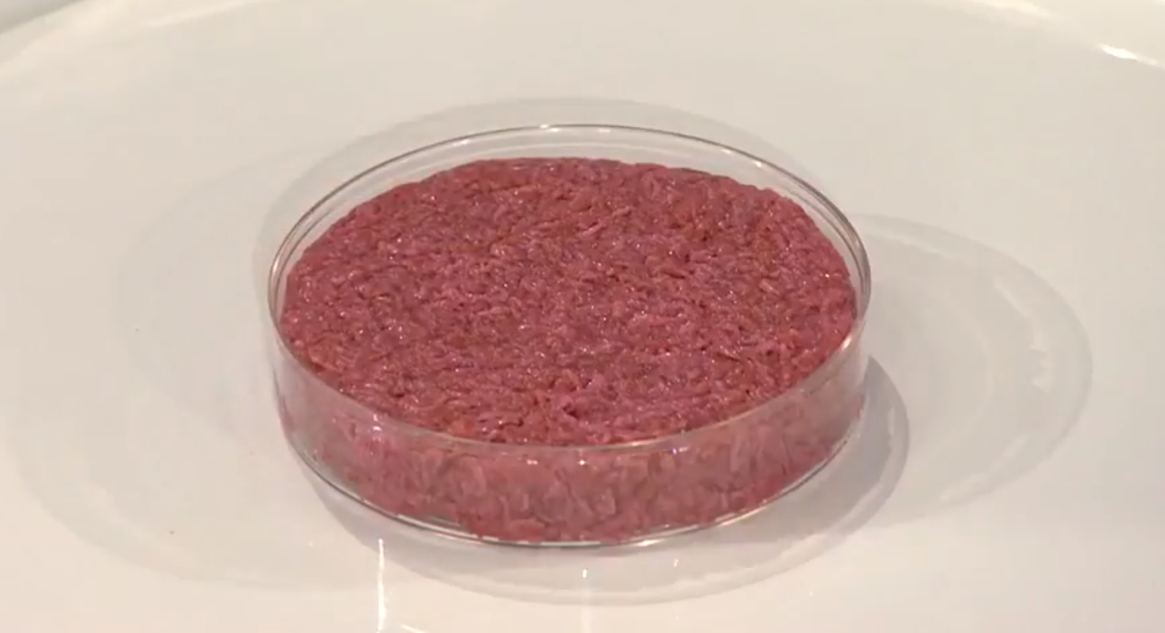 A világ első laboratóriumban gyártott húskészítményét a Maastrichti Egyetem tudósai prezentálták 2013-ban.