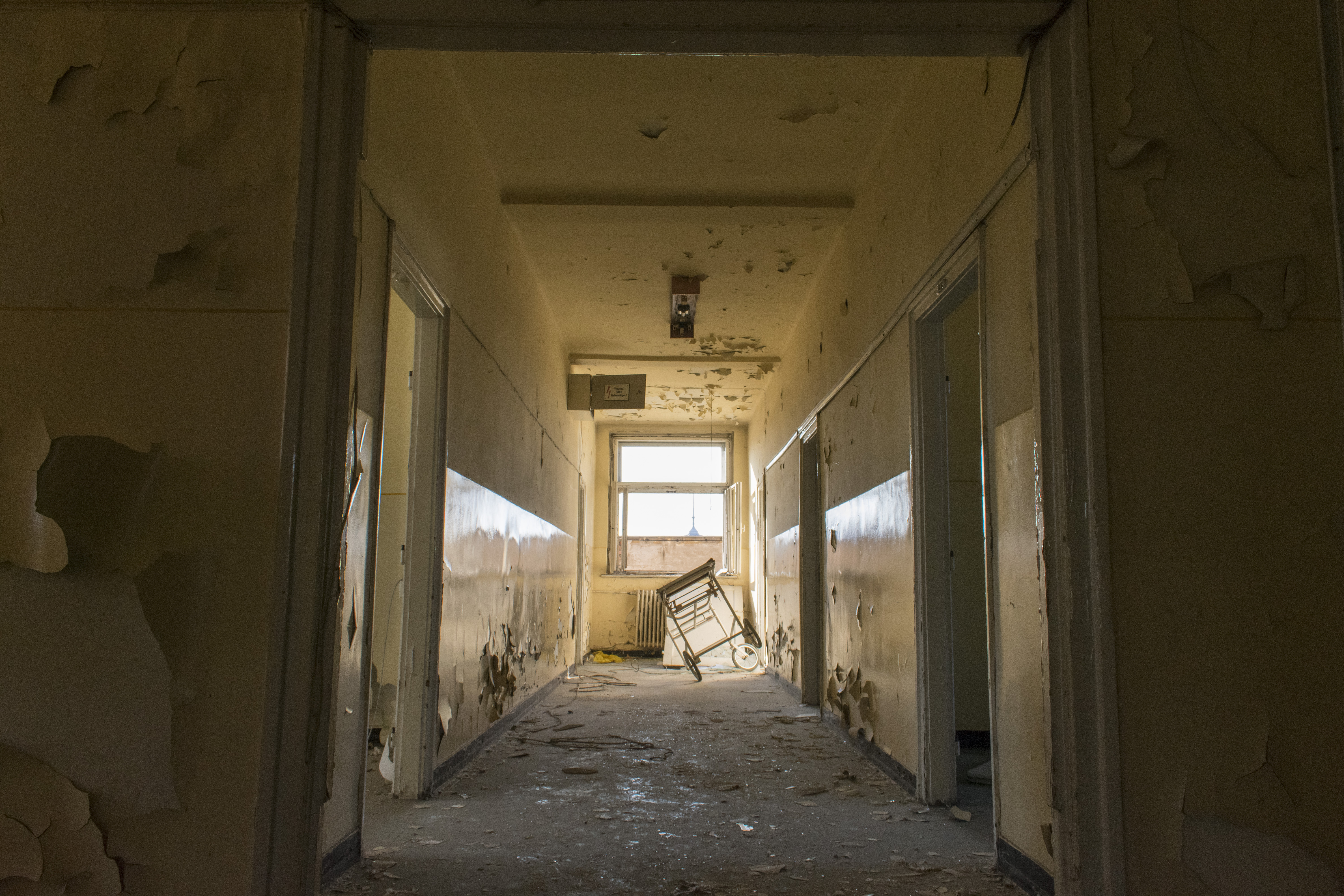 A városligeti paloták között málladozik egy elhagyott kórház
