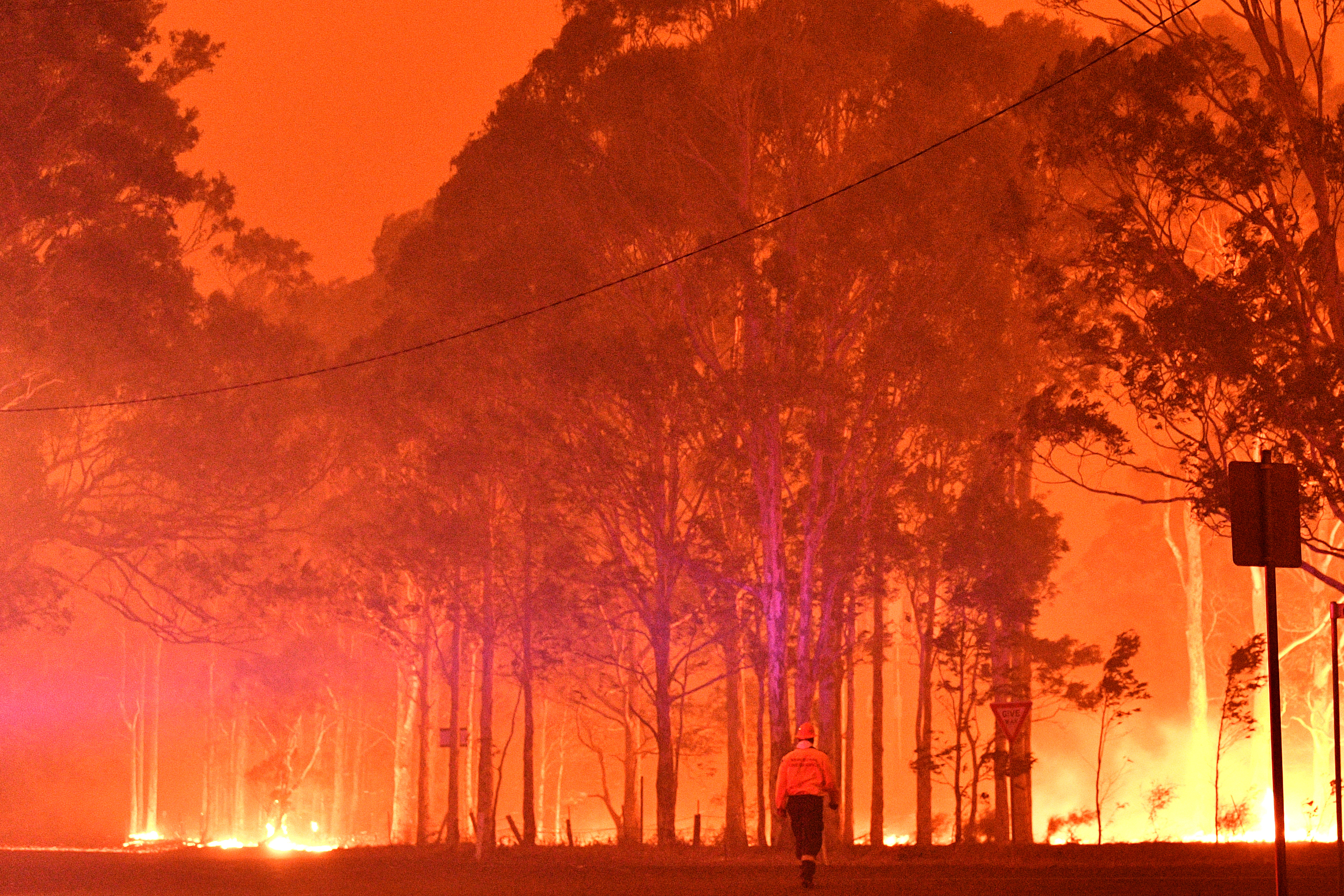 Nagyban hozzájárultak az ausztrál bozóttüzek az új széndioxidrekordhoz
