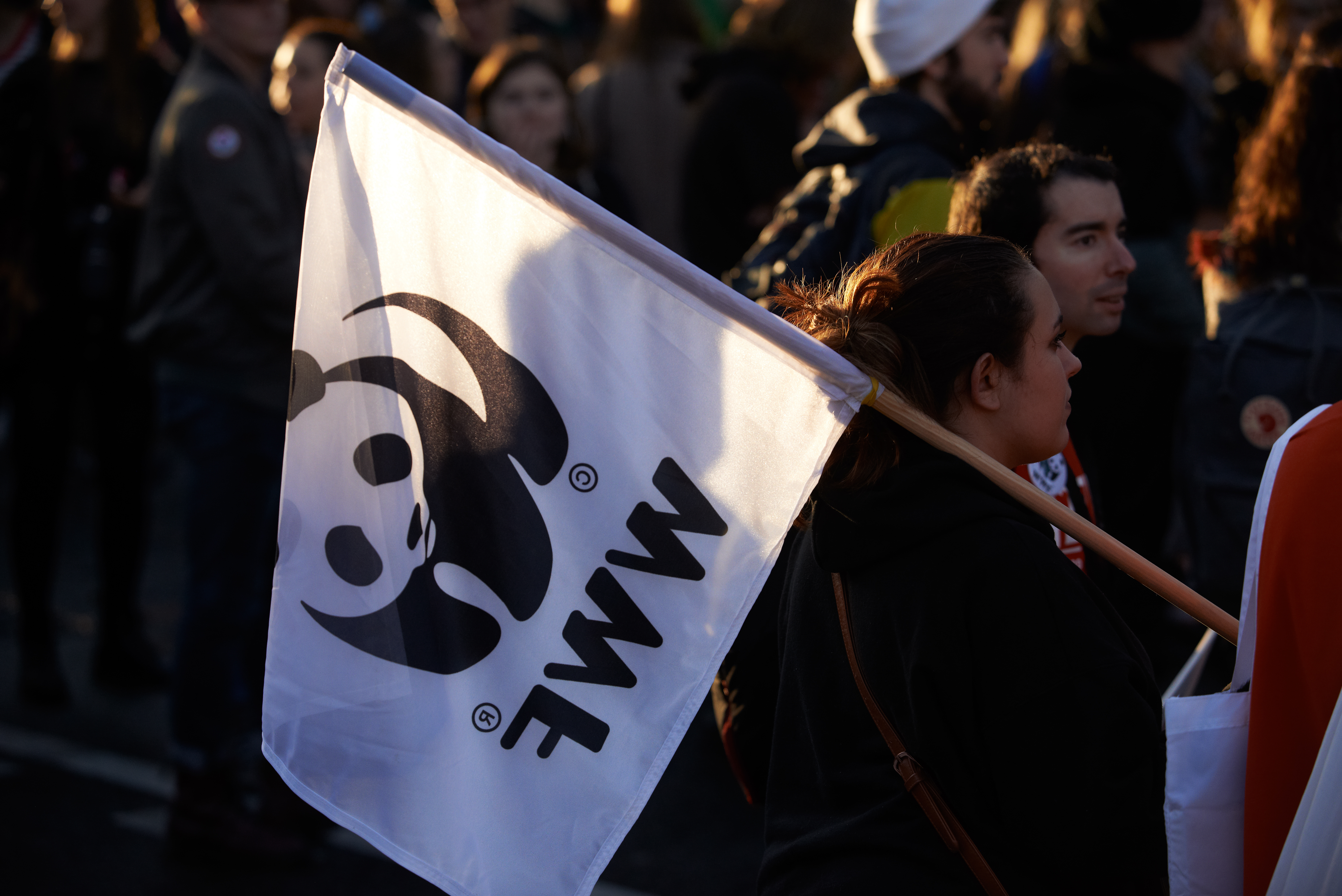 A WWF zászlaja egy klímatüntetésen Toulouse-ban 2019. november 29-én