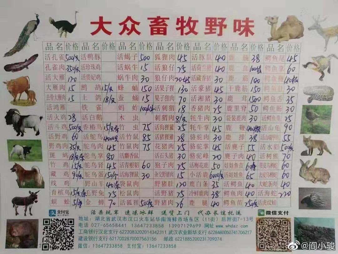 Farkaskölyök, cibetmacska, szamár: ilyesmiket is árultak a piacon, a kínai koronavírus gócpontjában