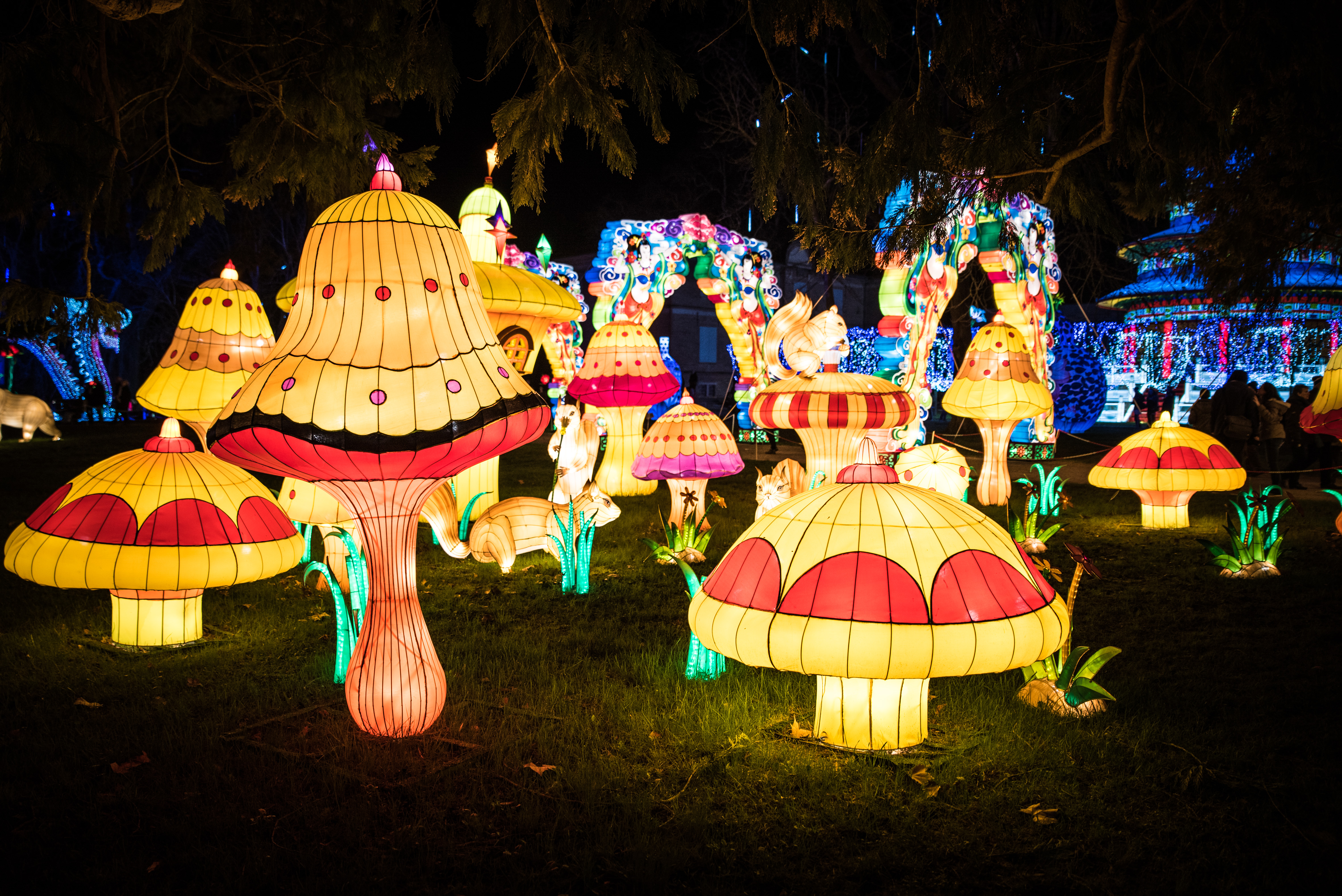 Minden eddiginél régebbi gombafosszíliát találtak Afrikában