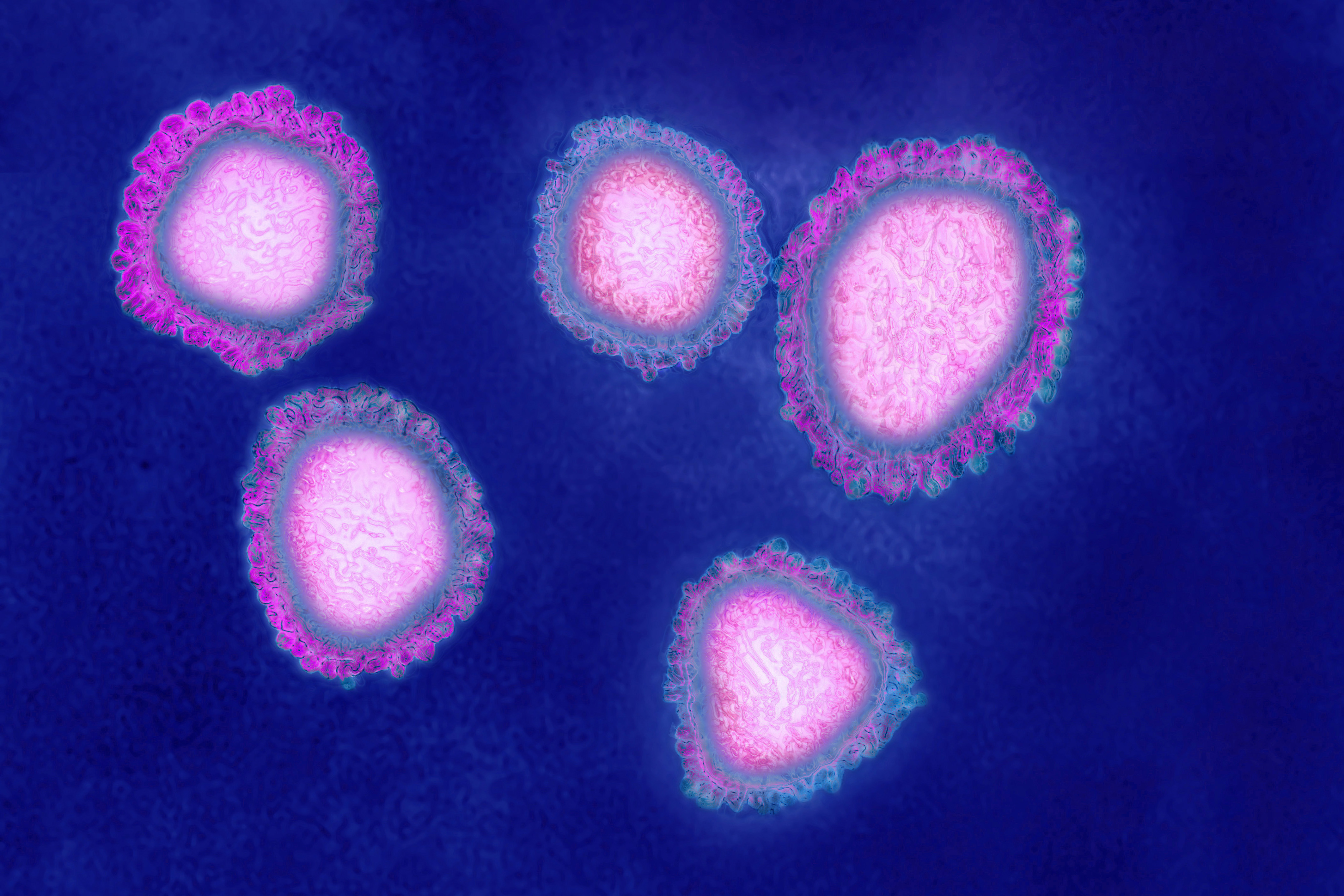 Hivatalos: Európában is megjelent az új koronavírus
