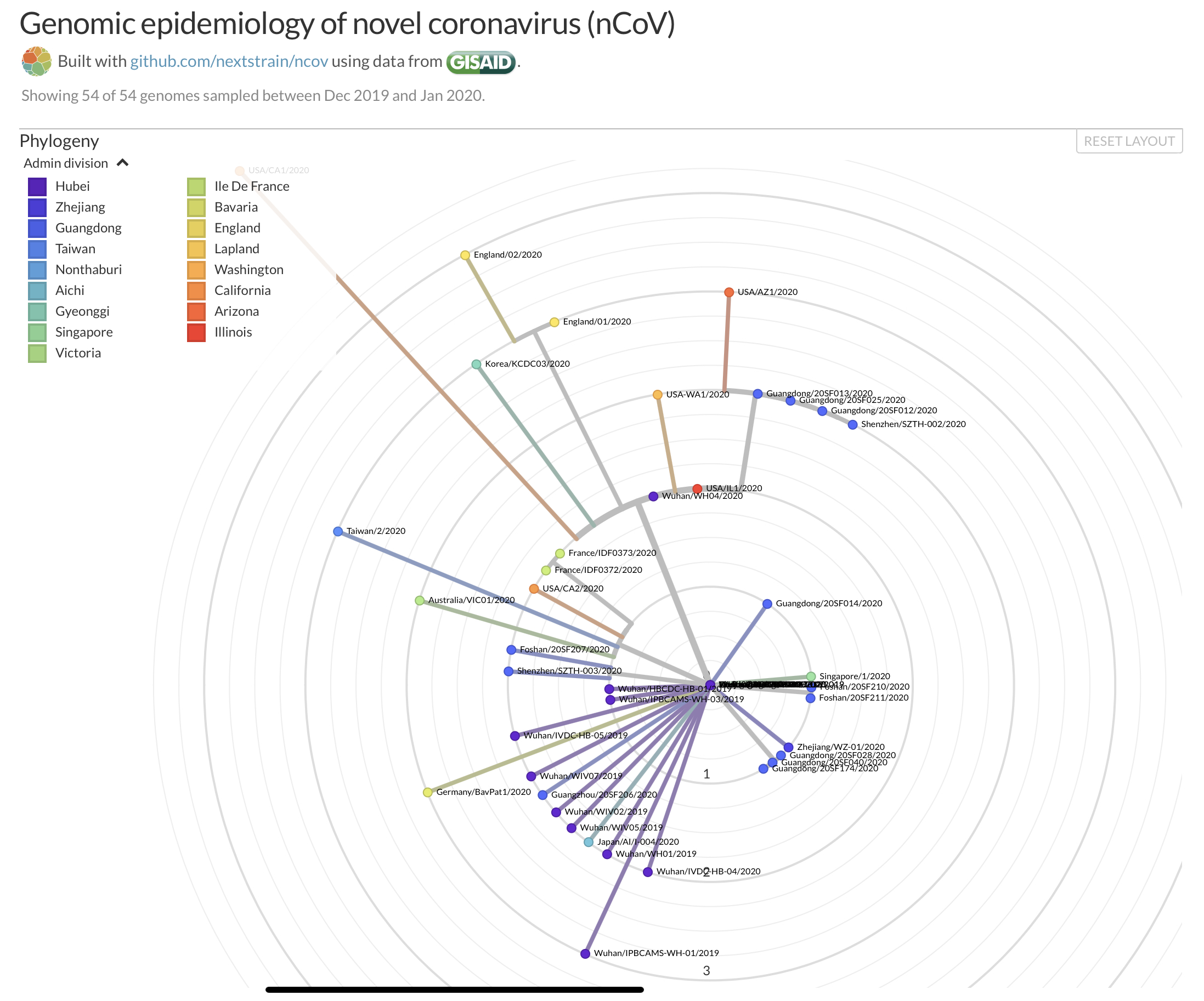 A 2019-nCoV koronavírus törzsfája 54 rendelkezésre álló vírus genom alapján.