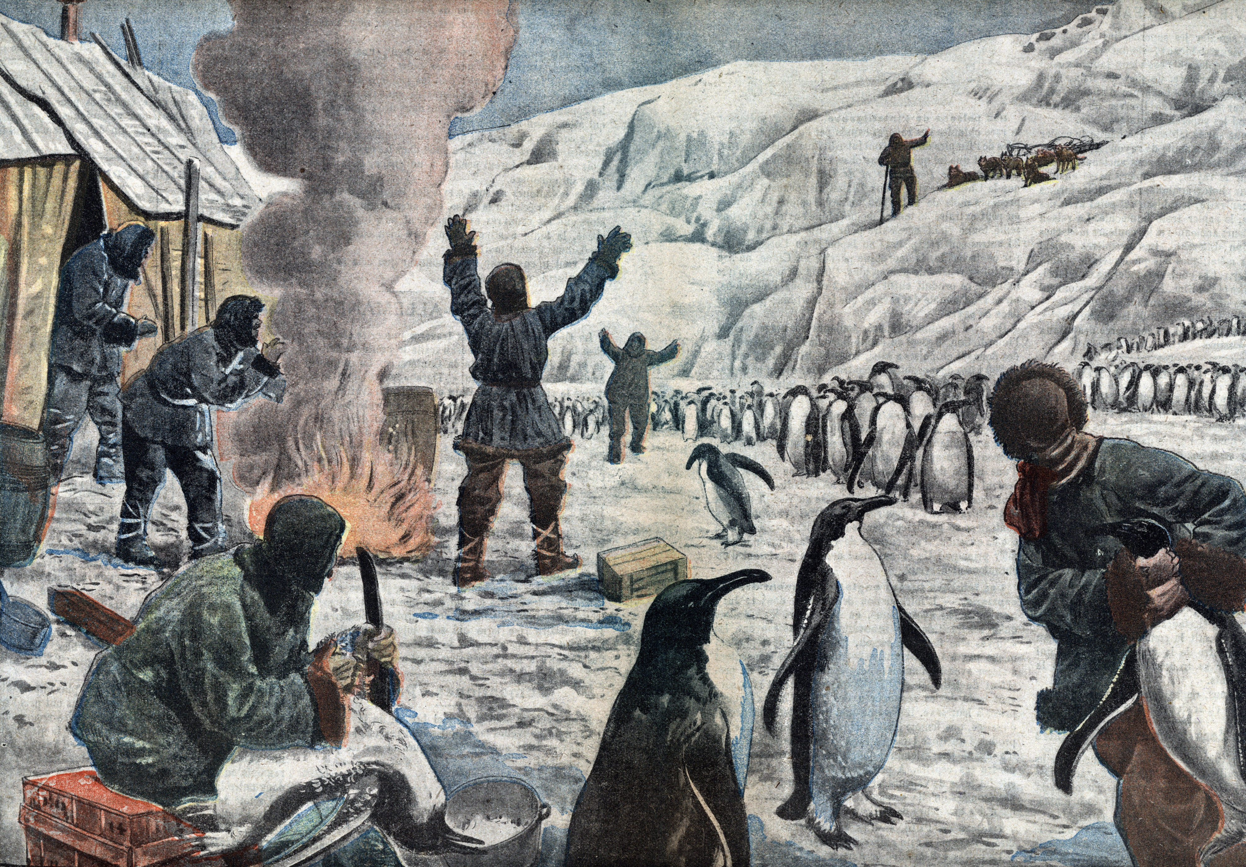 A brit Ernest Shackleton egy későbbi, 1916-os expedíciójának illusztrációja