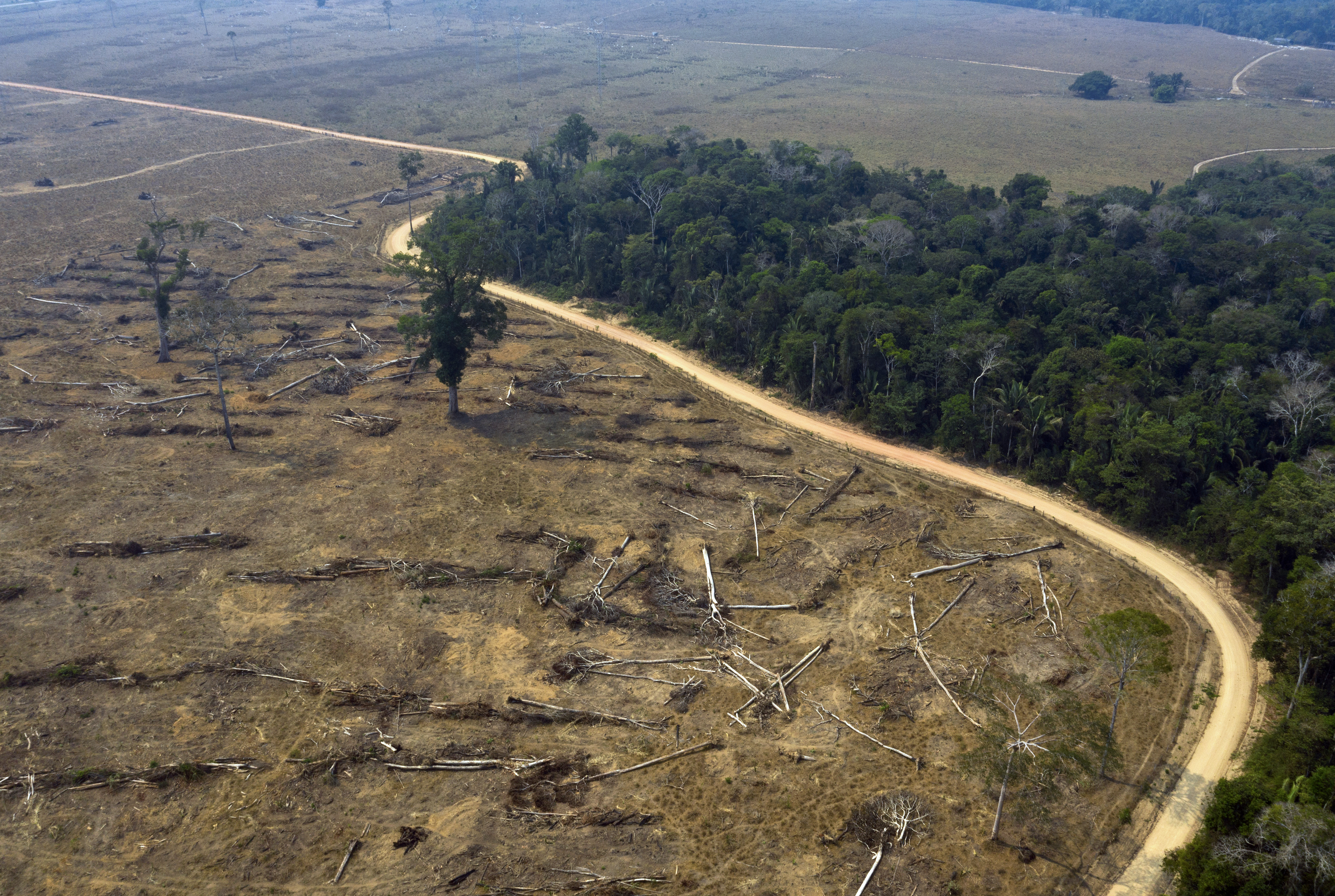 Drámaian nő az erdőirtás az Amazonas térségében