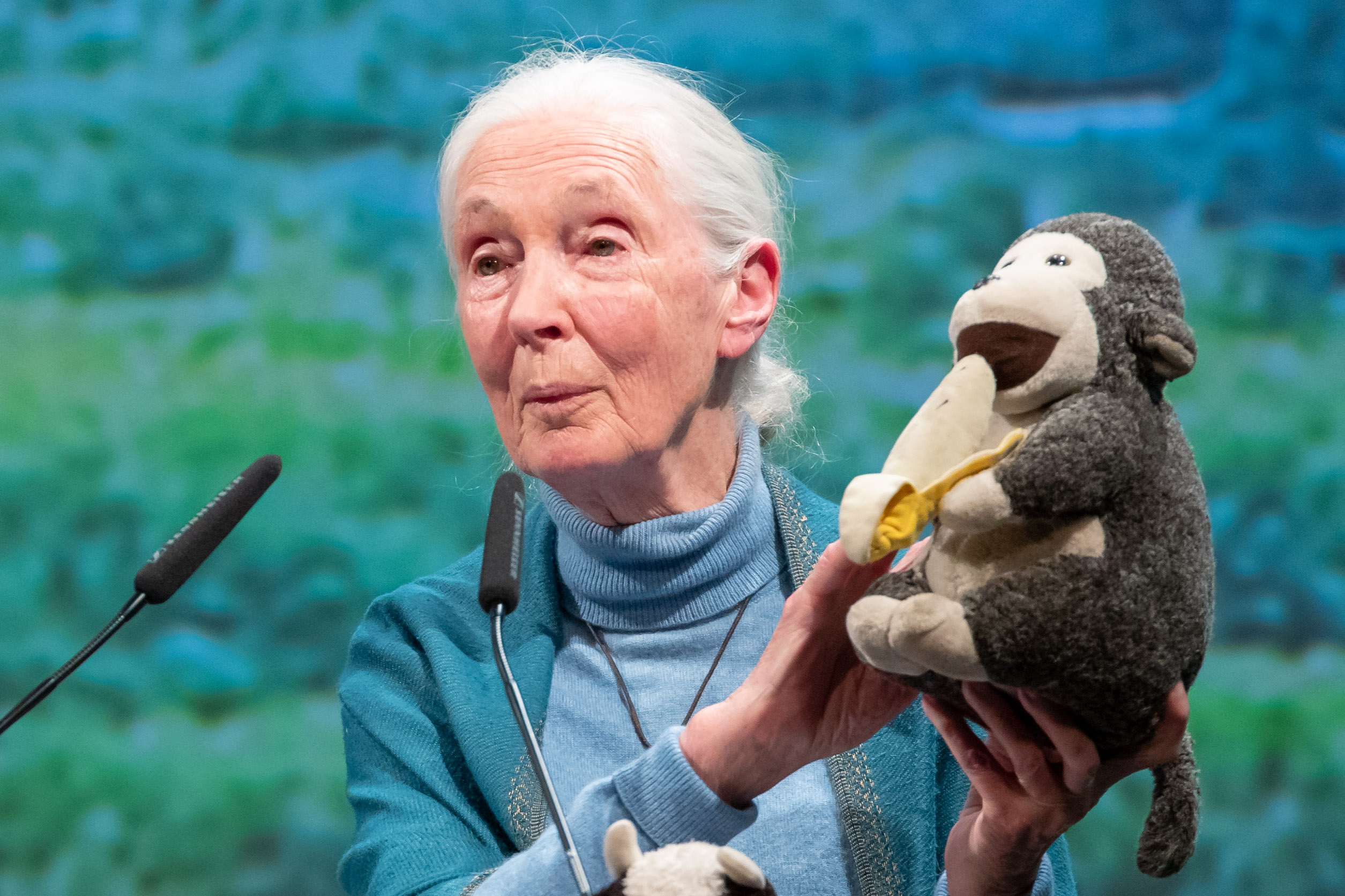 Jane Goodall: Ha globálisan gondolkozol, nagyon depressziós leszel